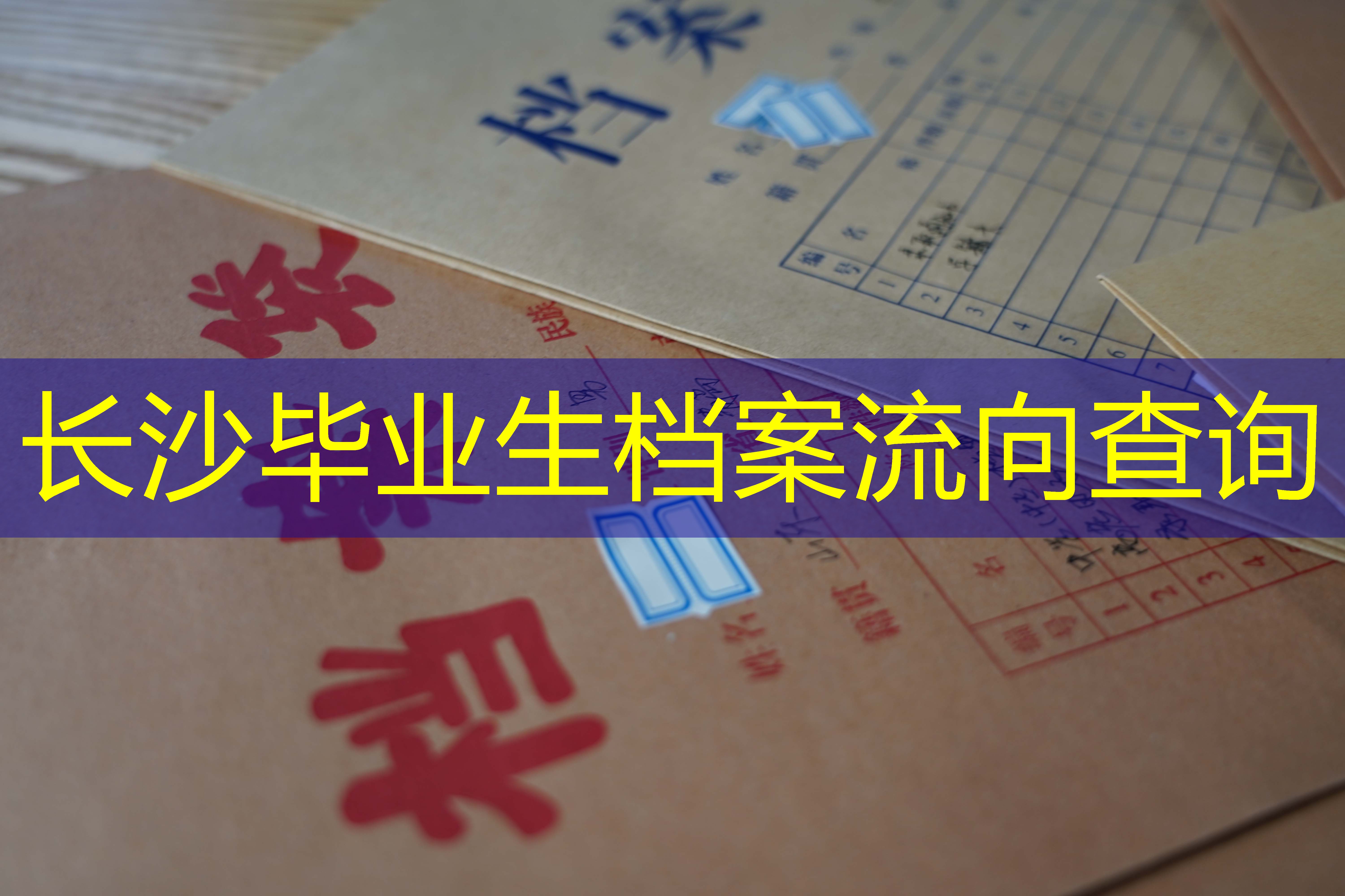 档案查询
