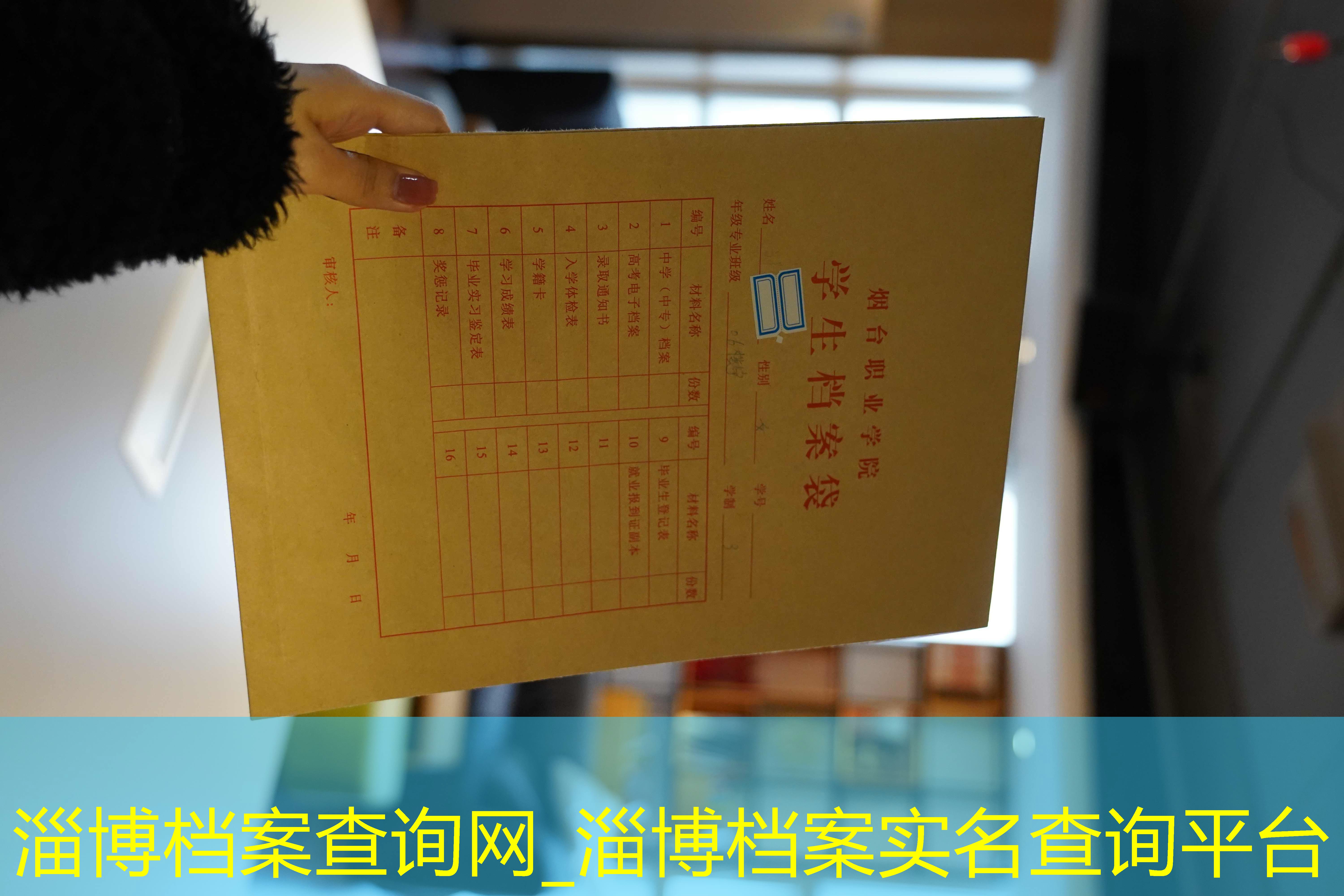 档案查询