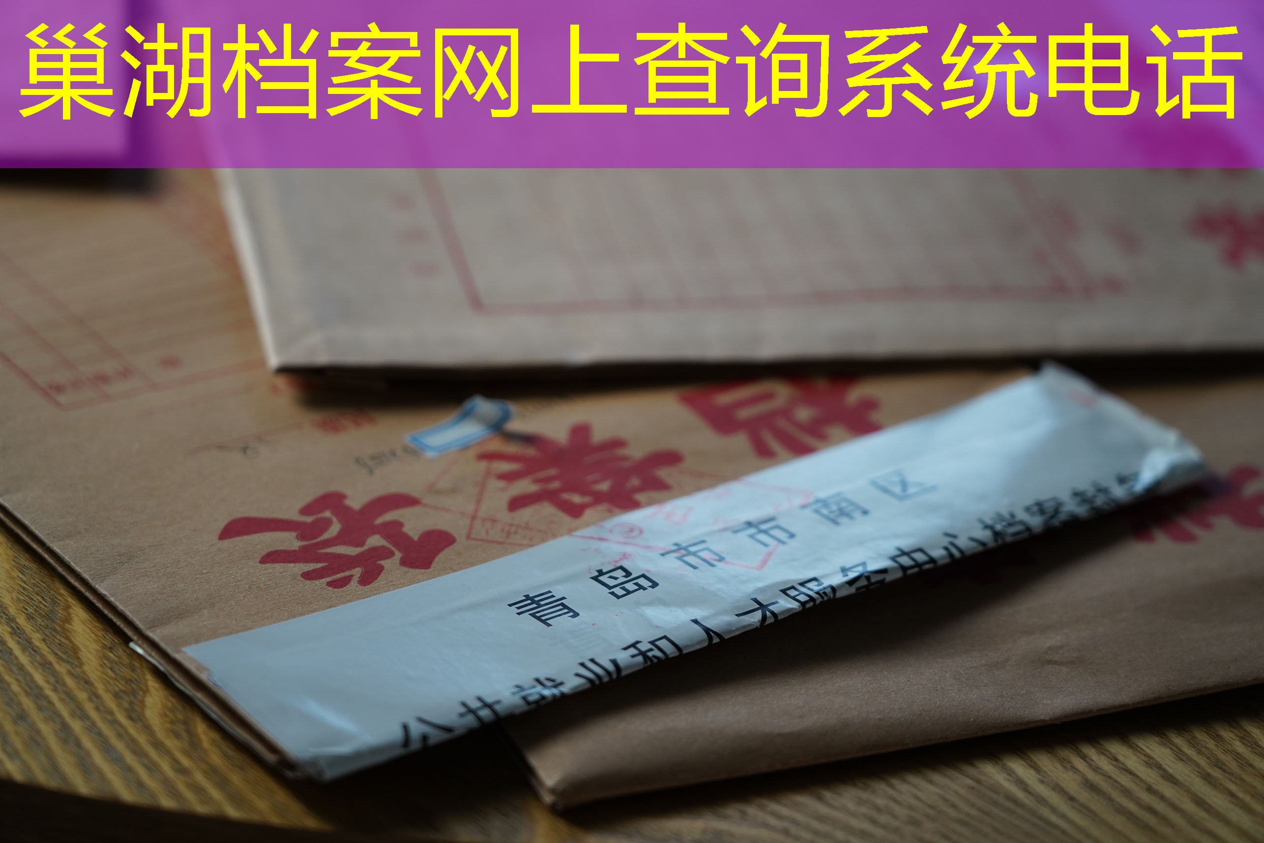 档案查询