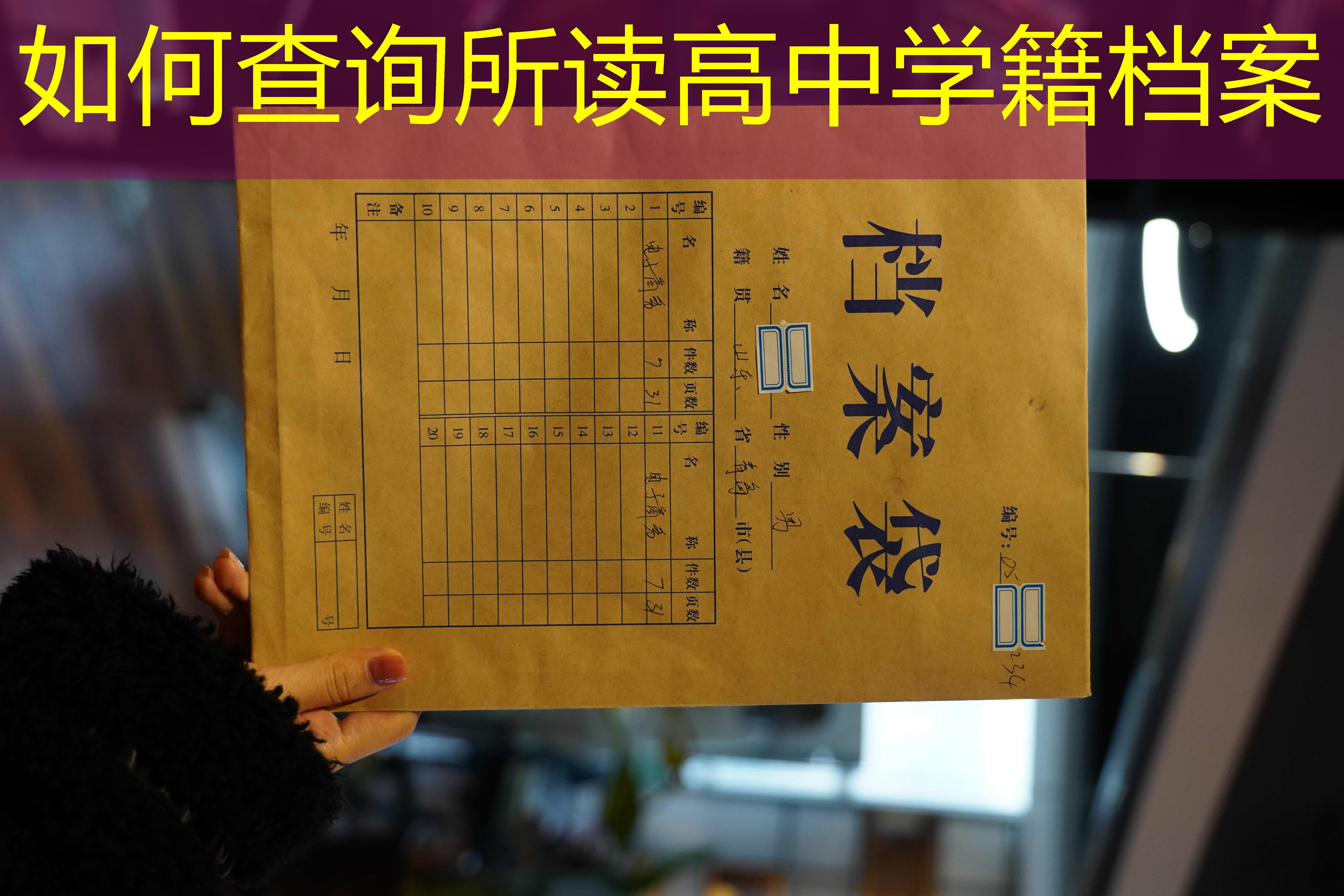 档案查询