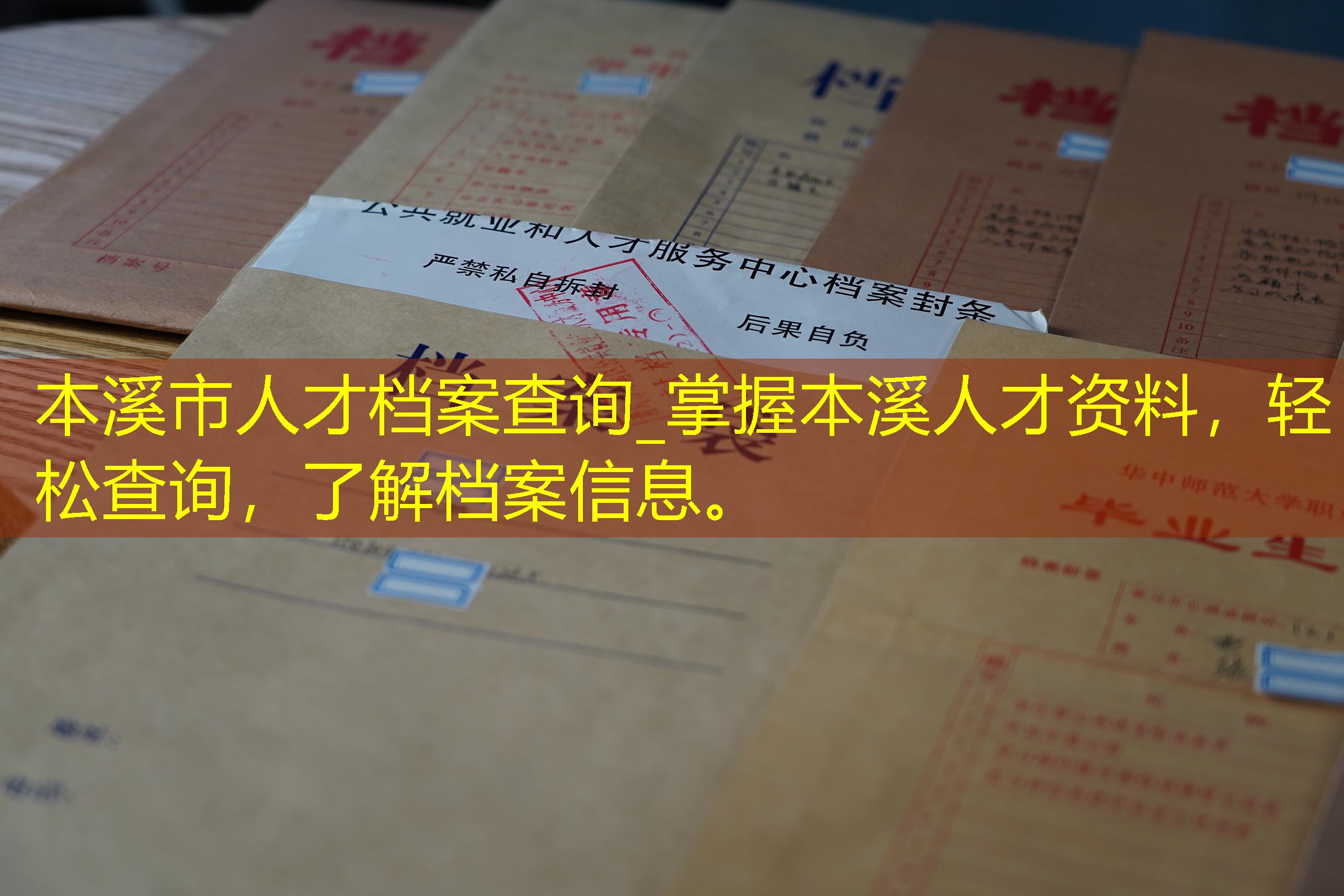 档案查询