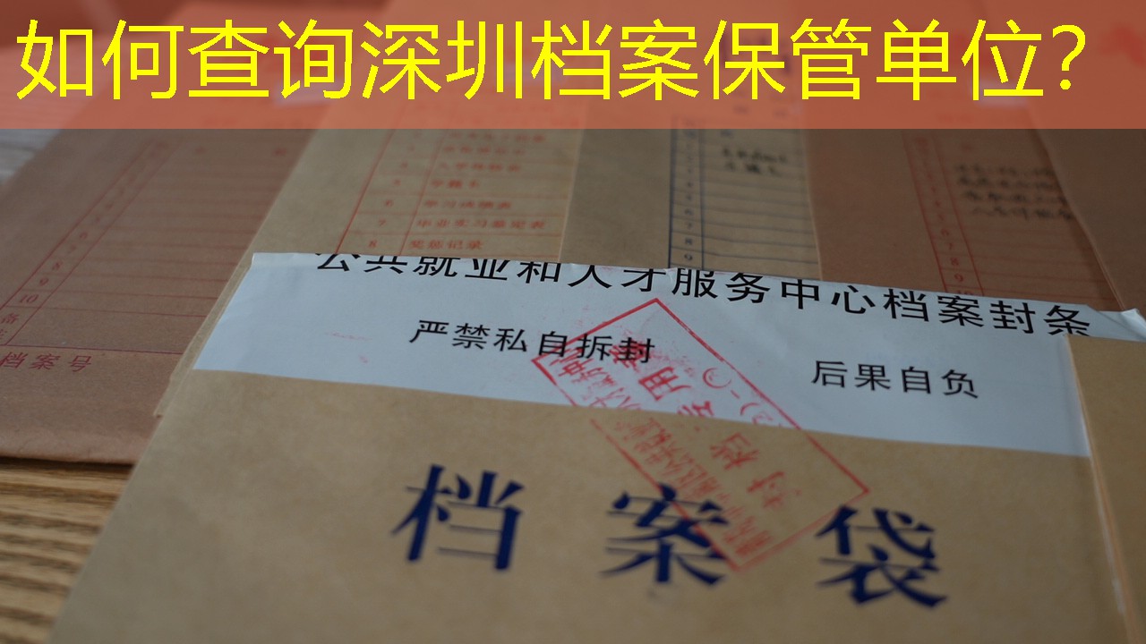 档案查询