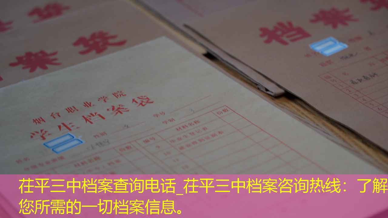 档案查询
