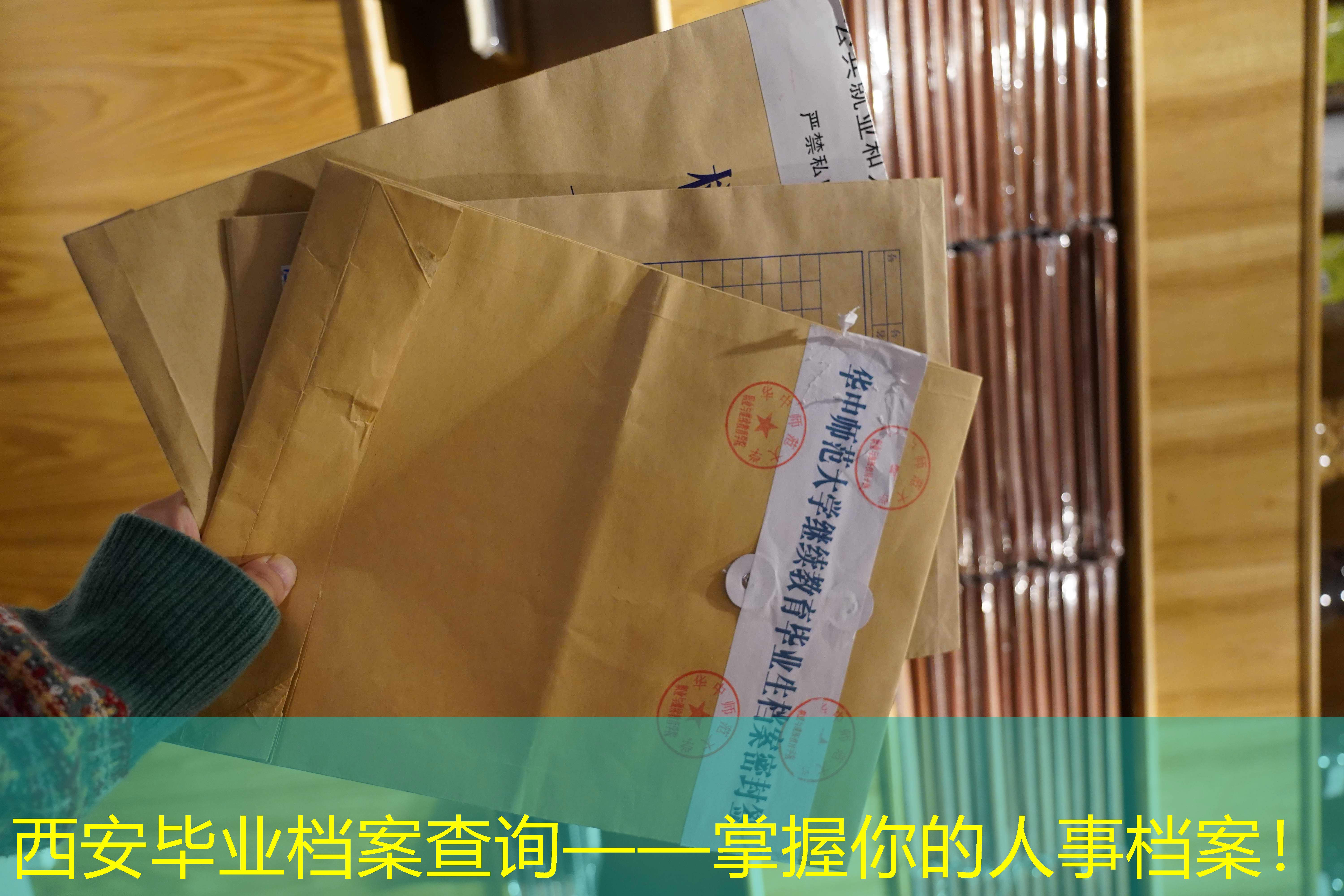 档案查询