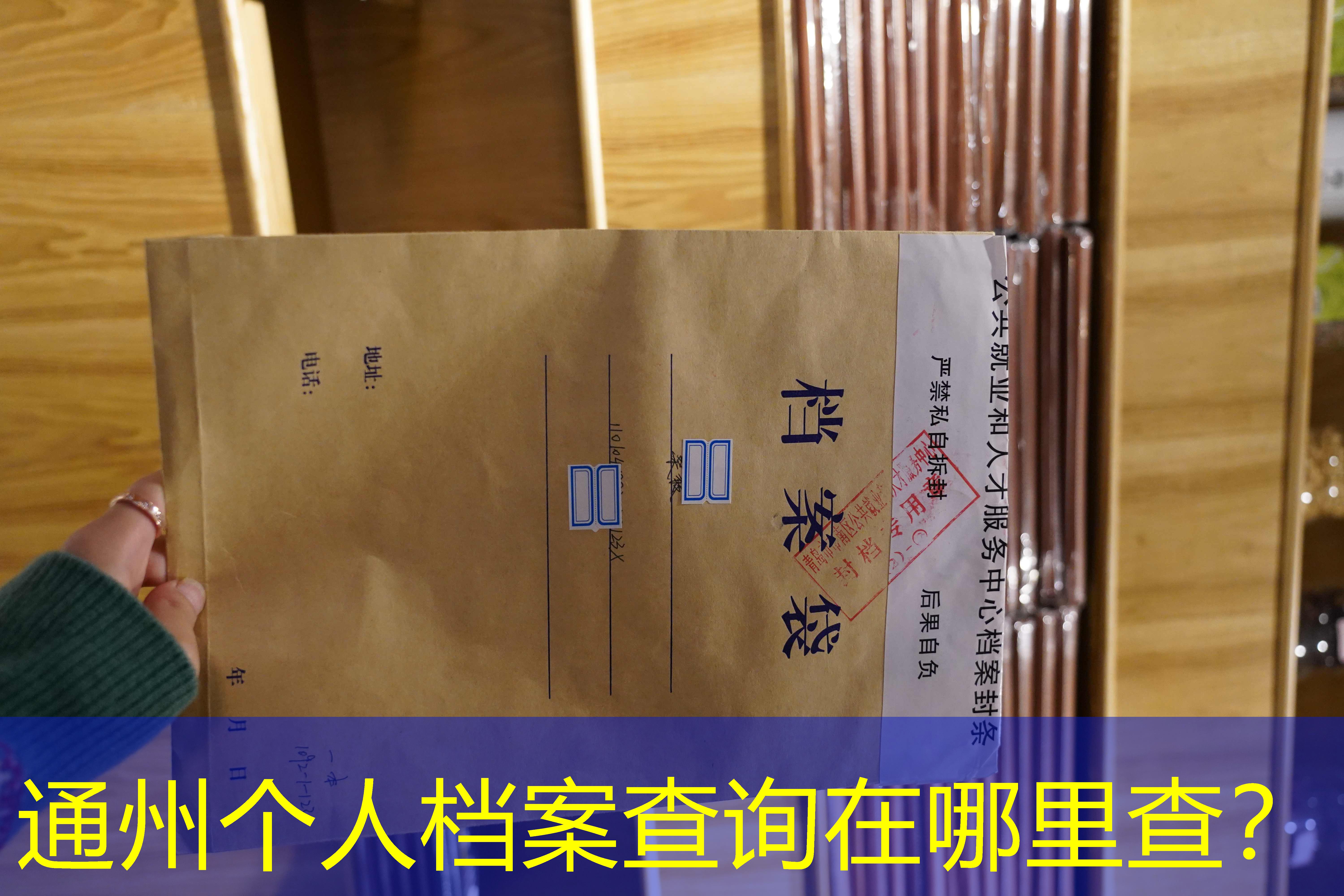 档案查询