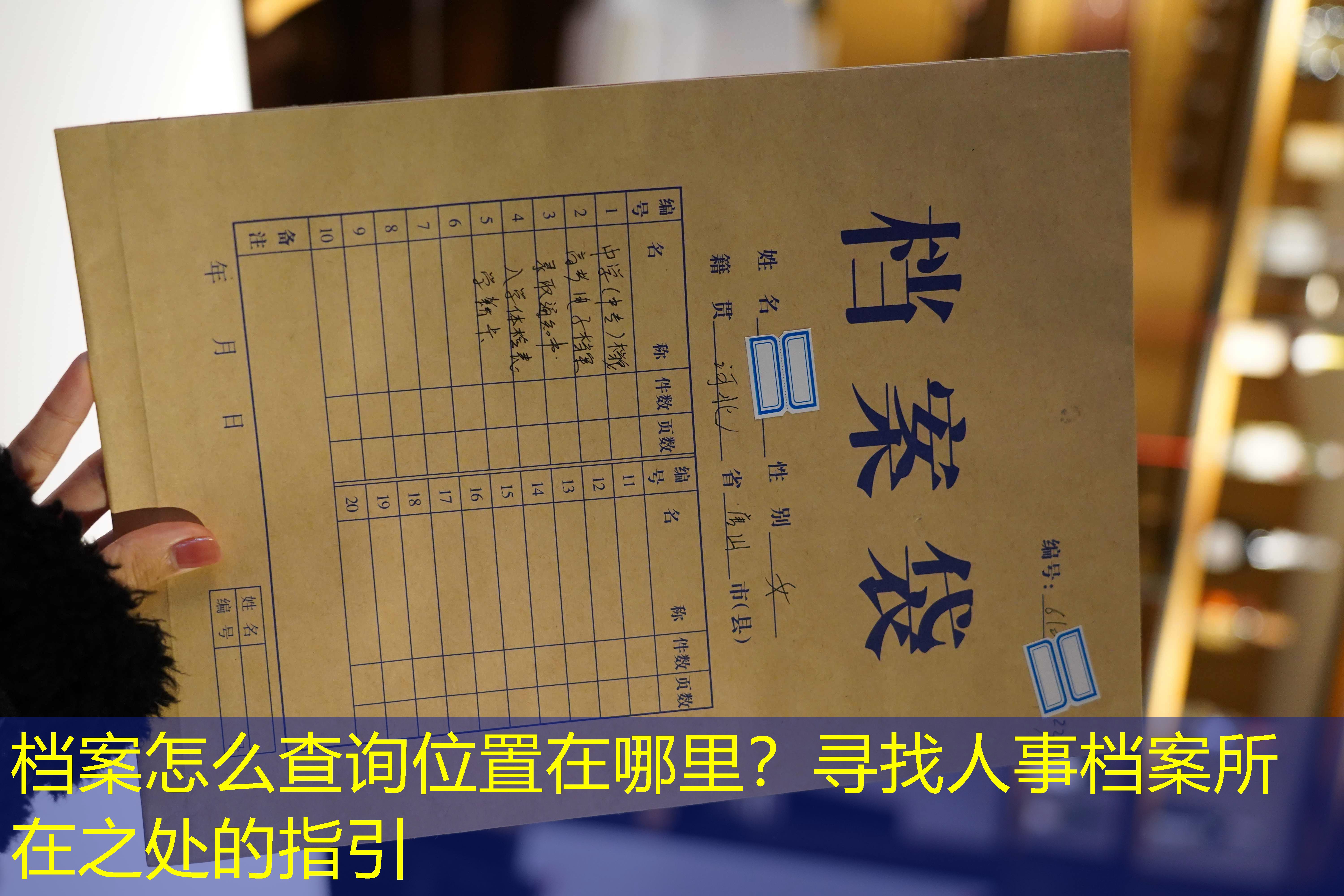 档案查询