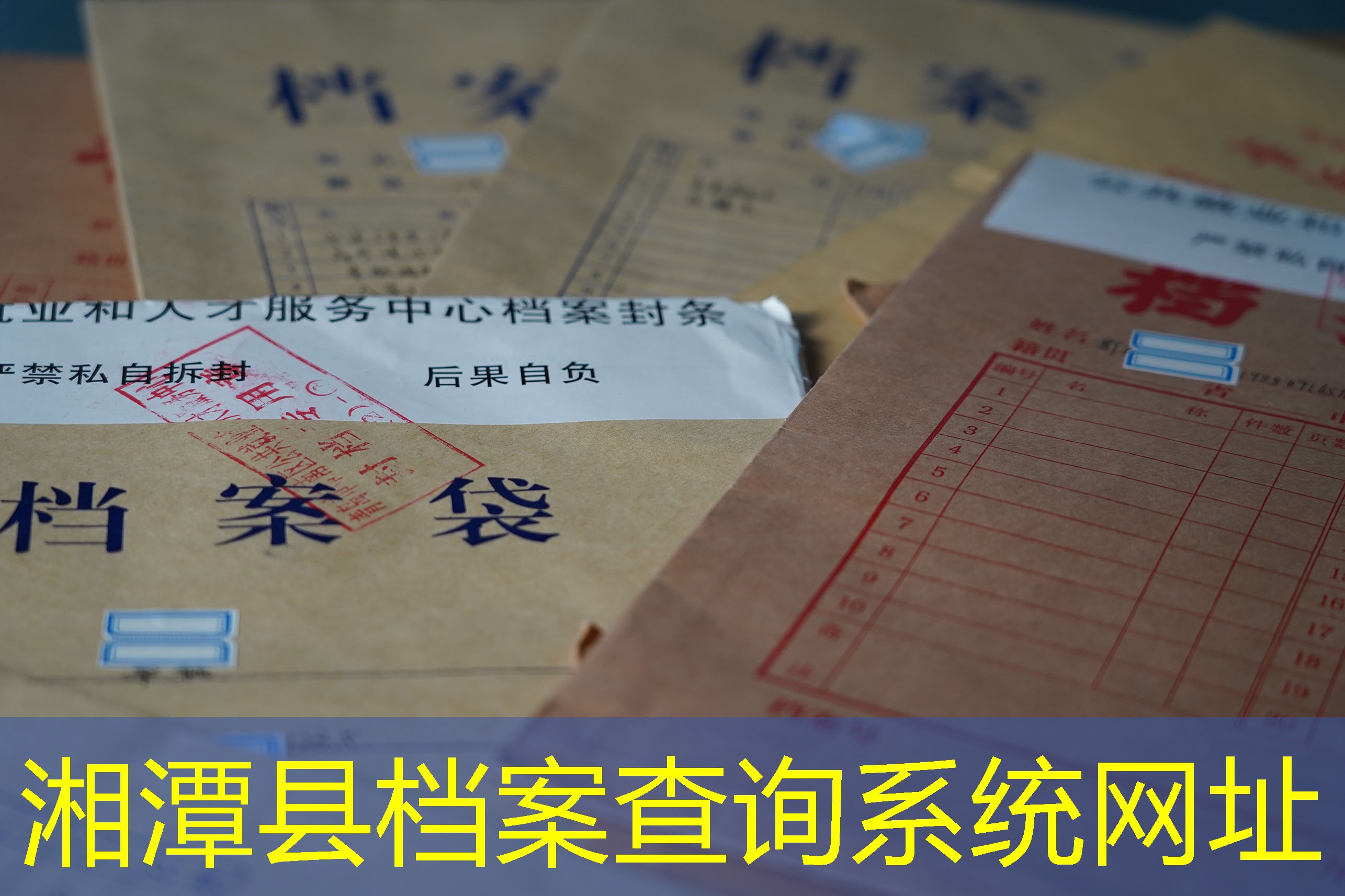 档案查询