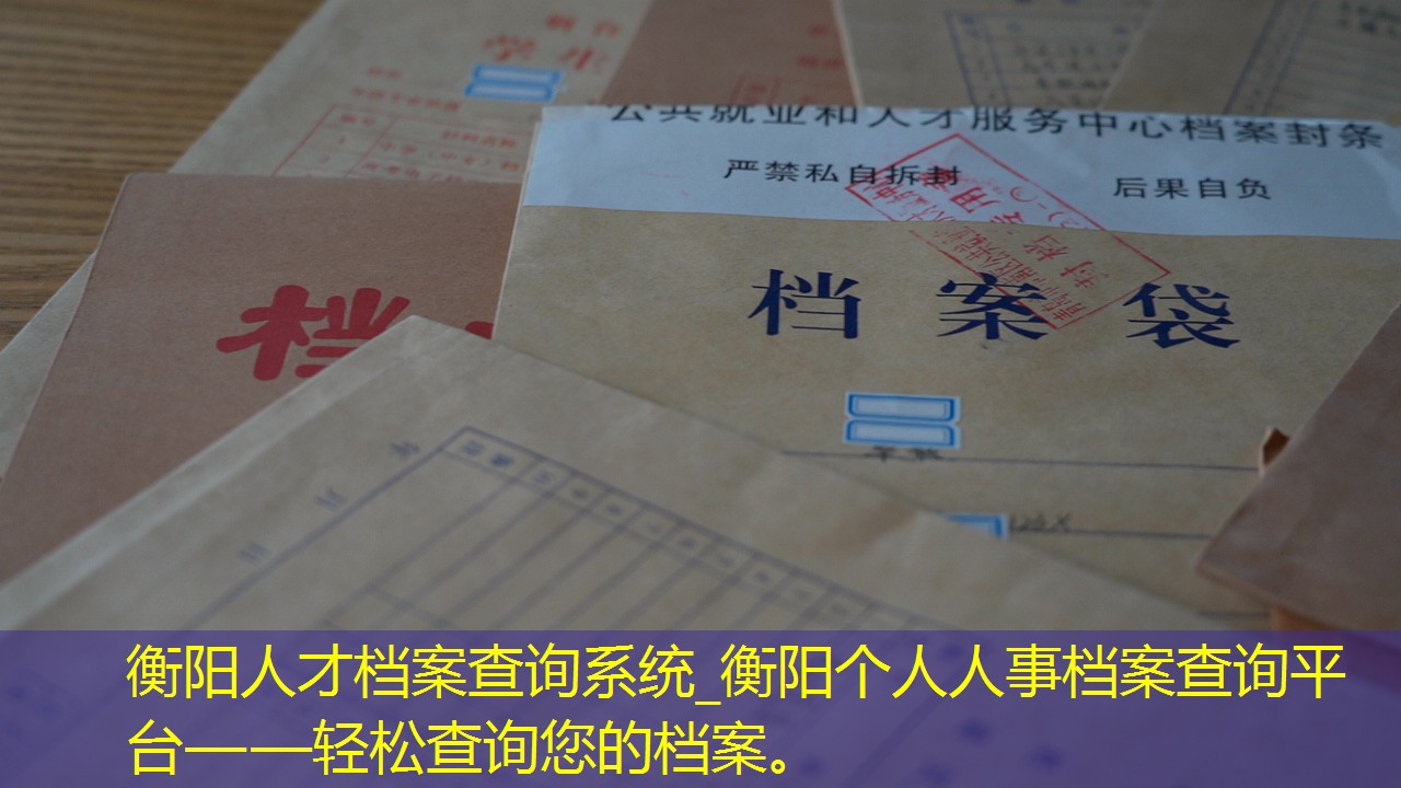 档案查询