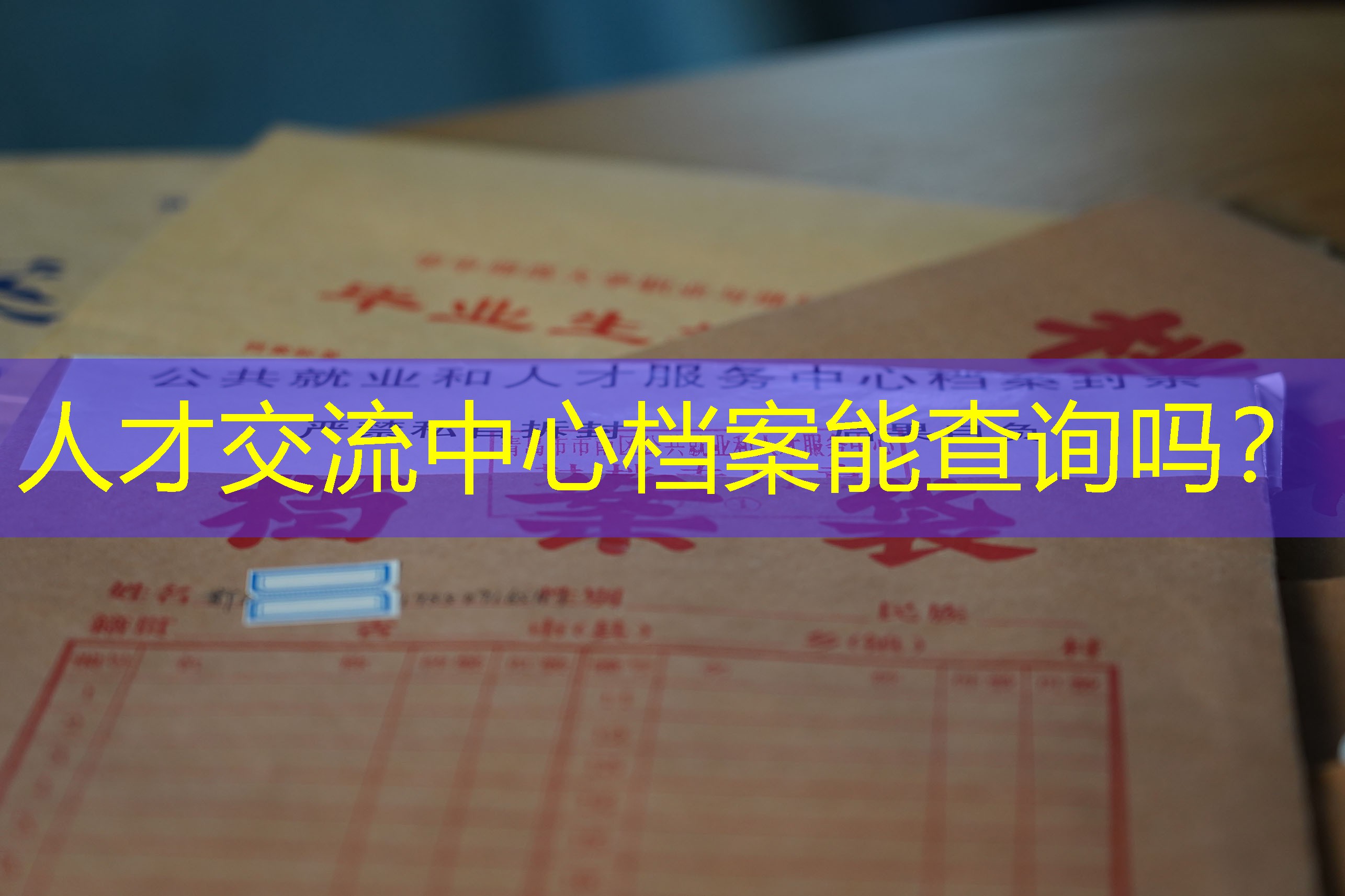 档案查询