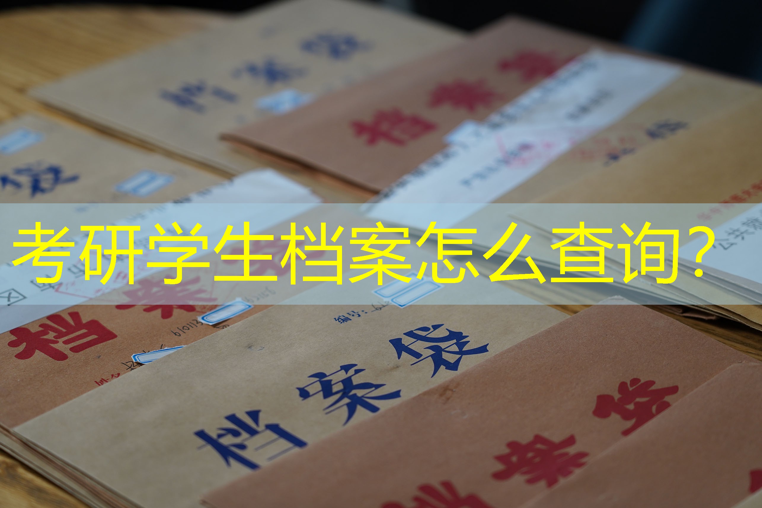 档案查询
