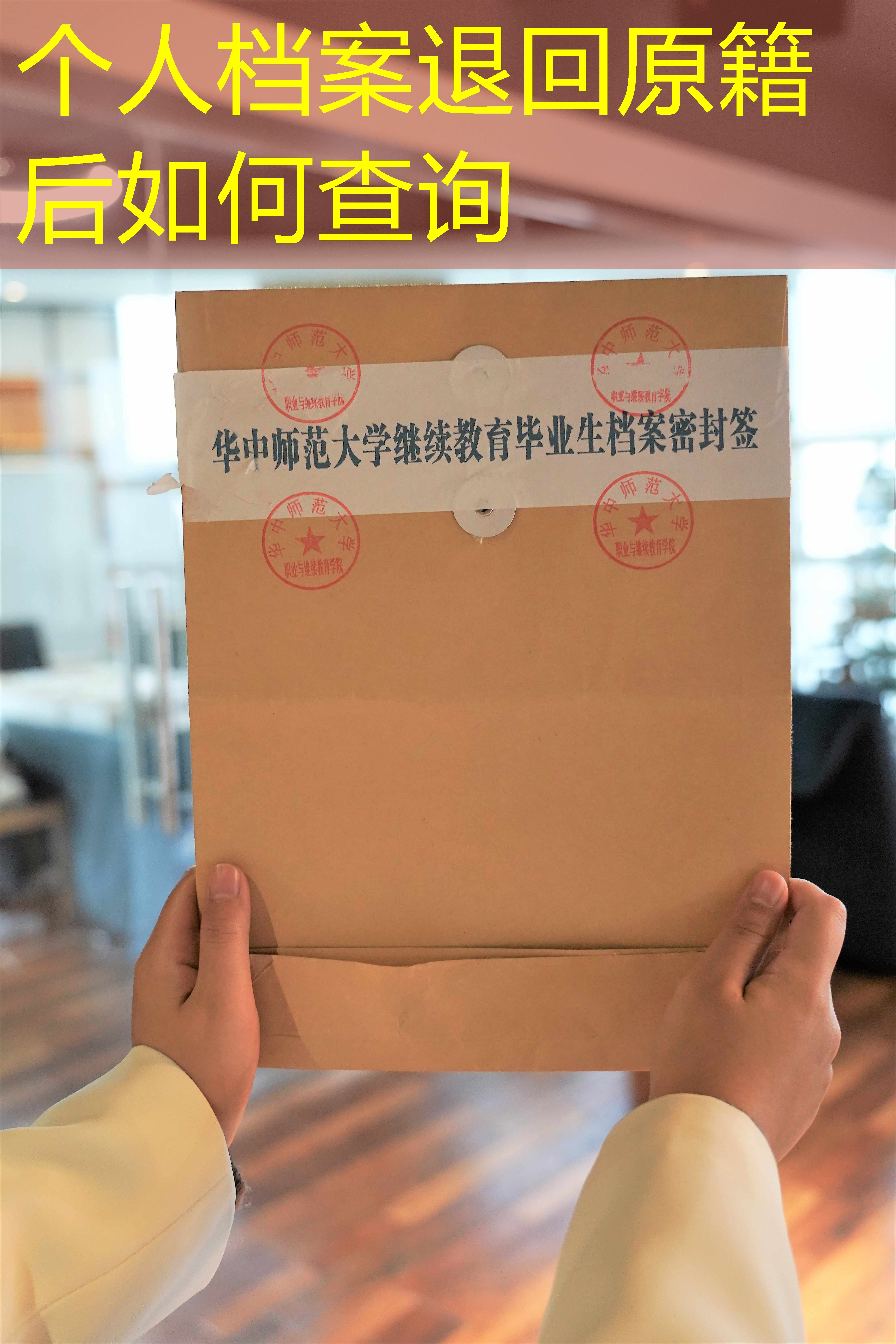 档案查询