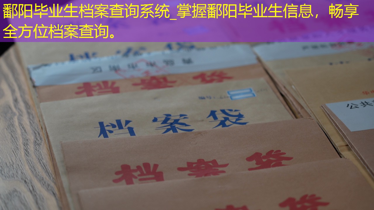 档案查询