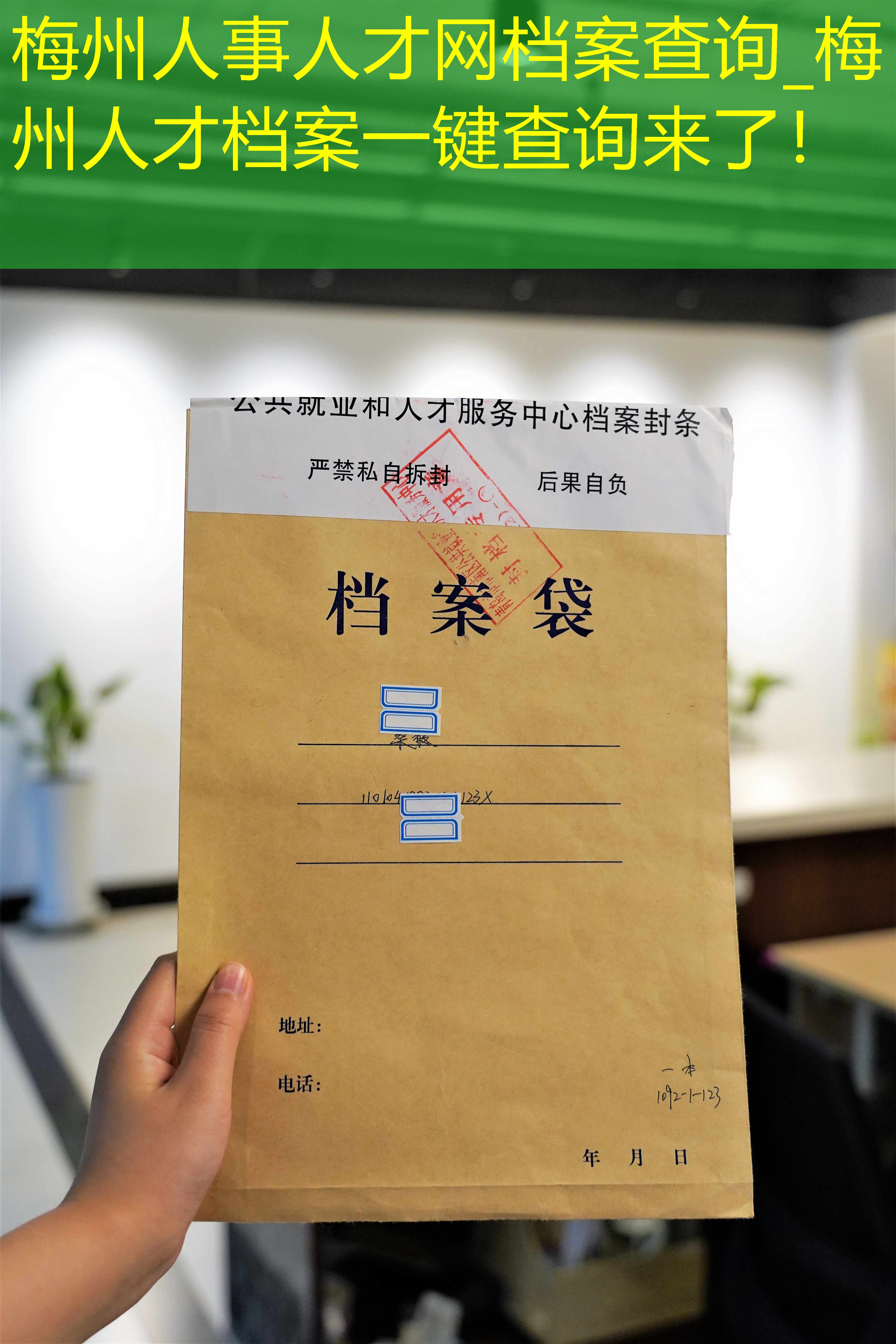 档案查询