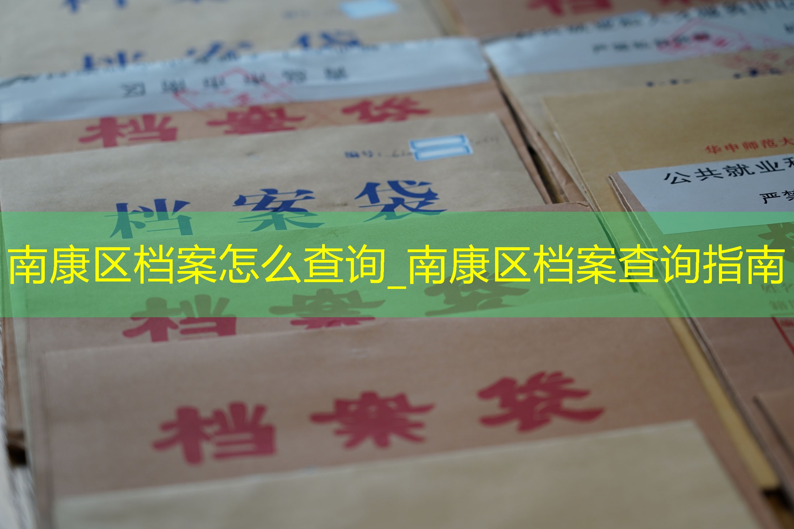 档案查询