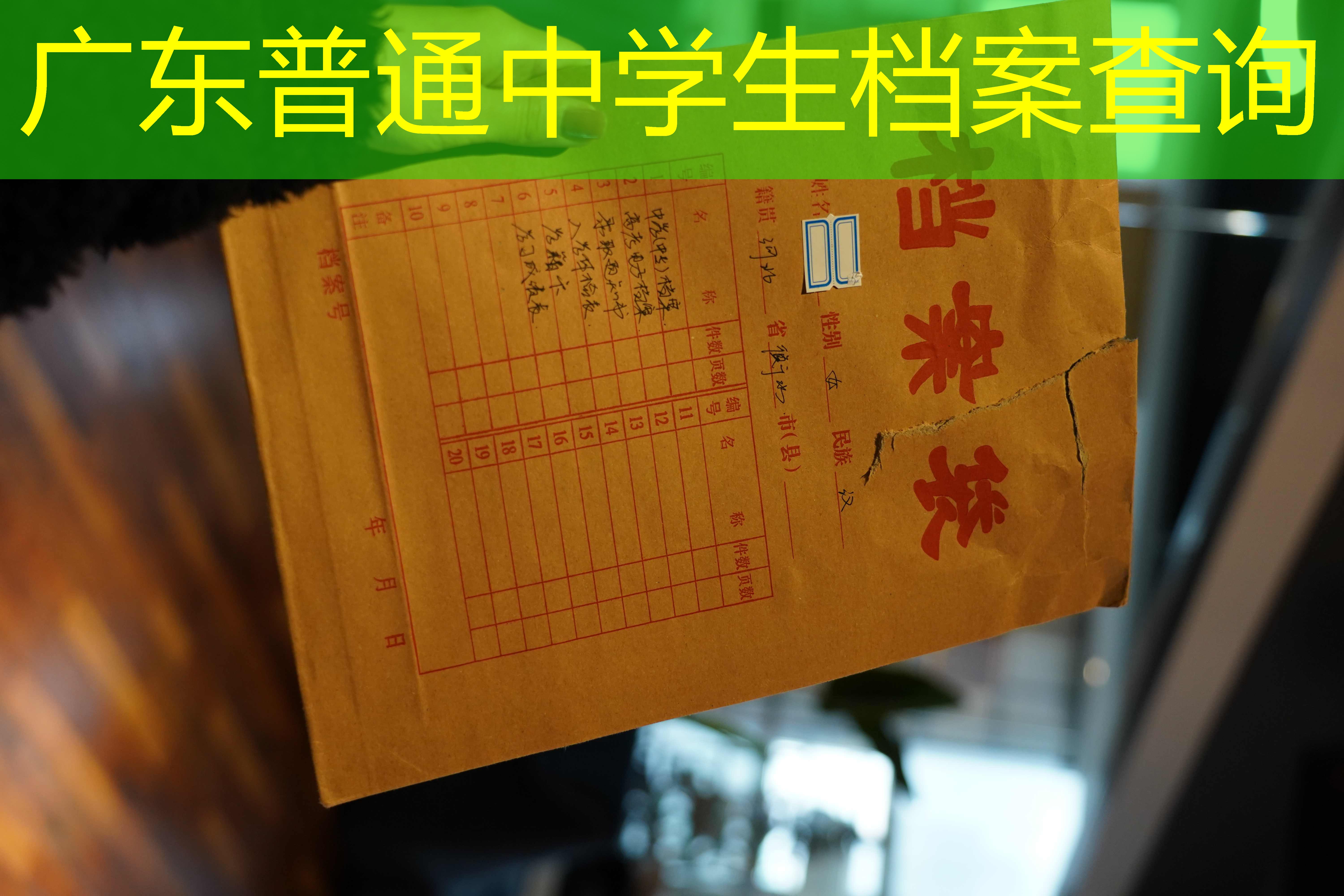 档案查询