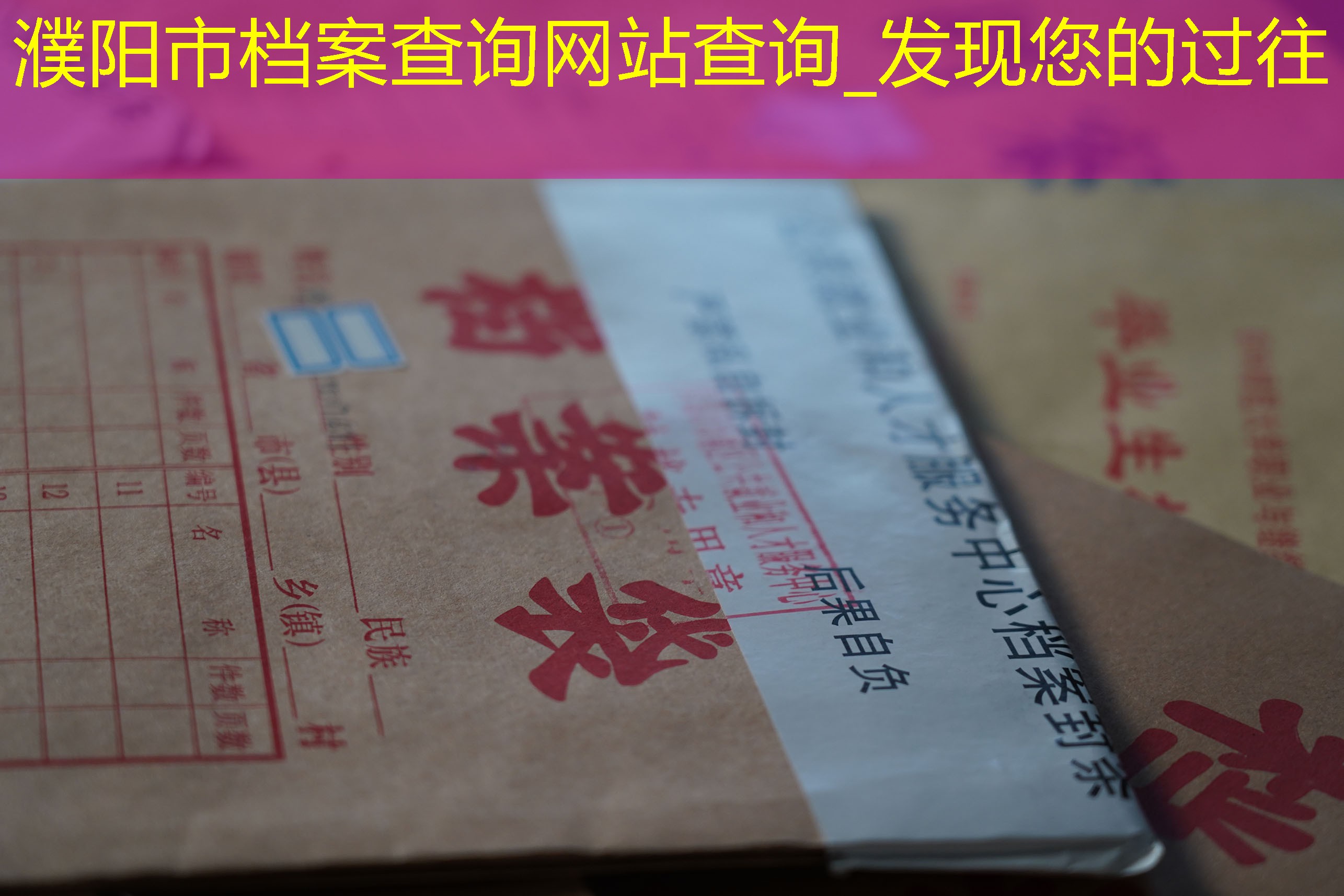 档案查询