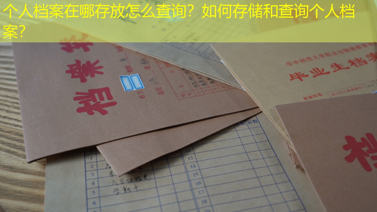 档案查询