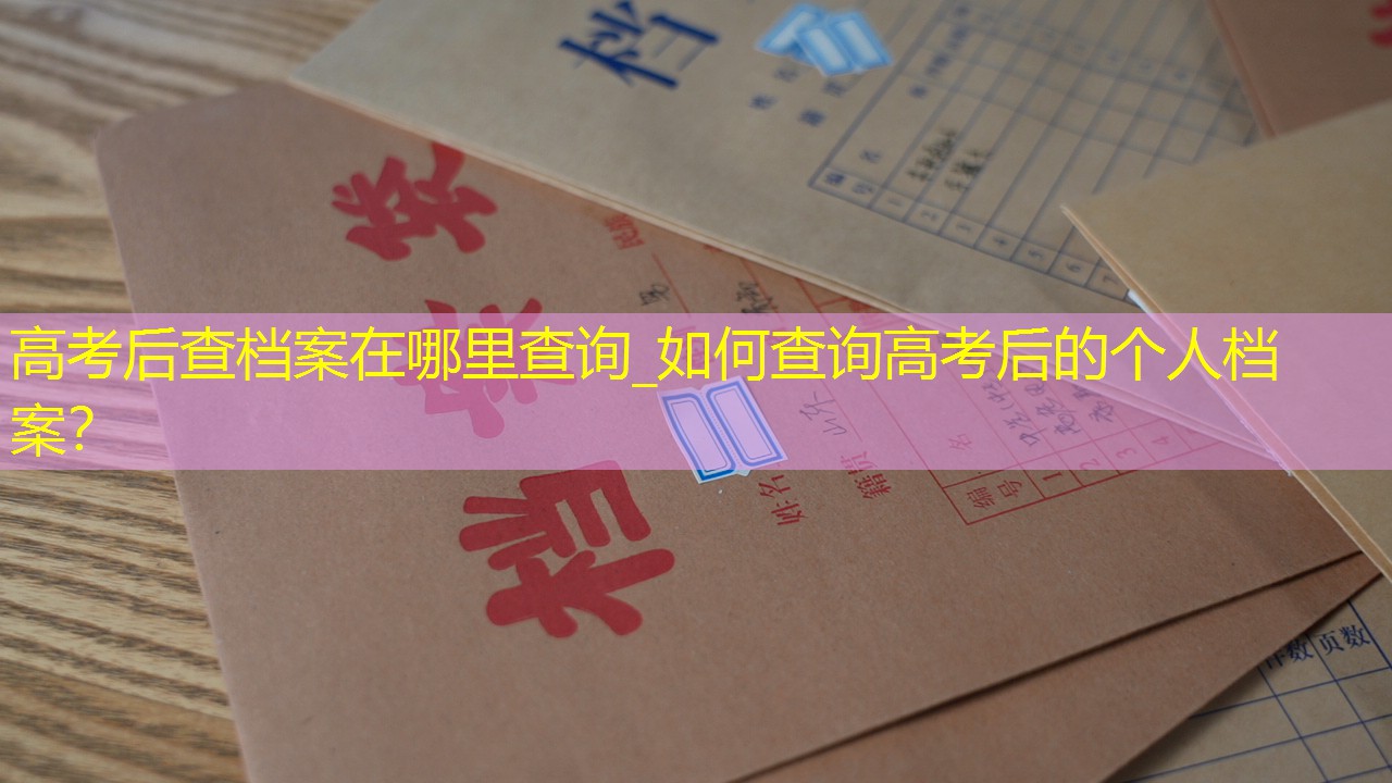 档案查询