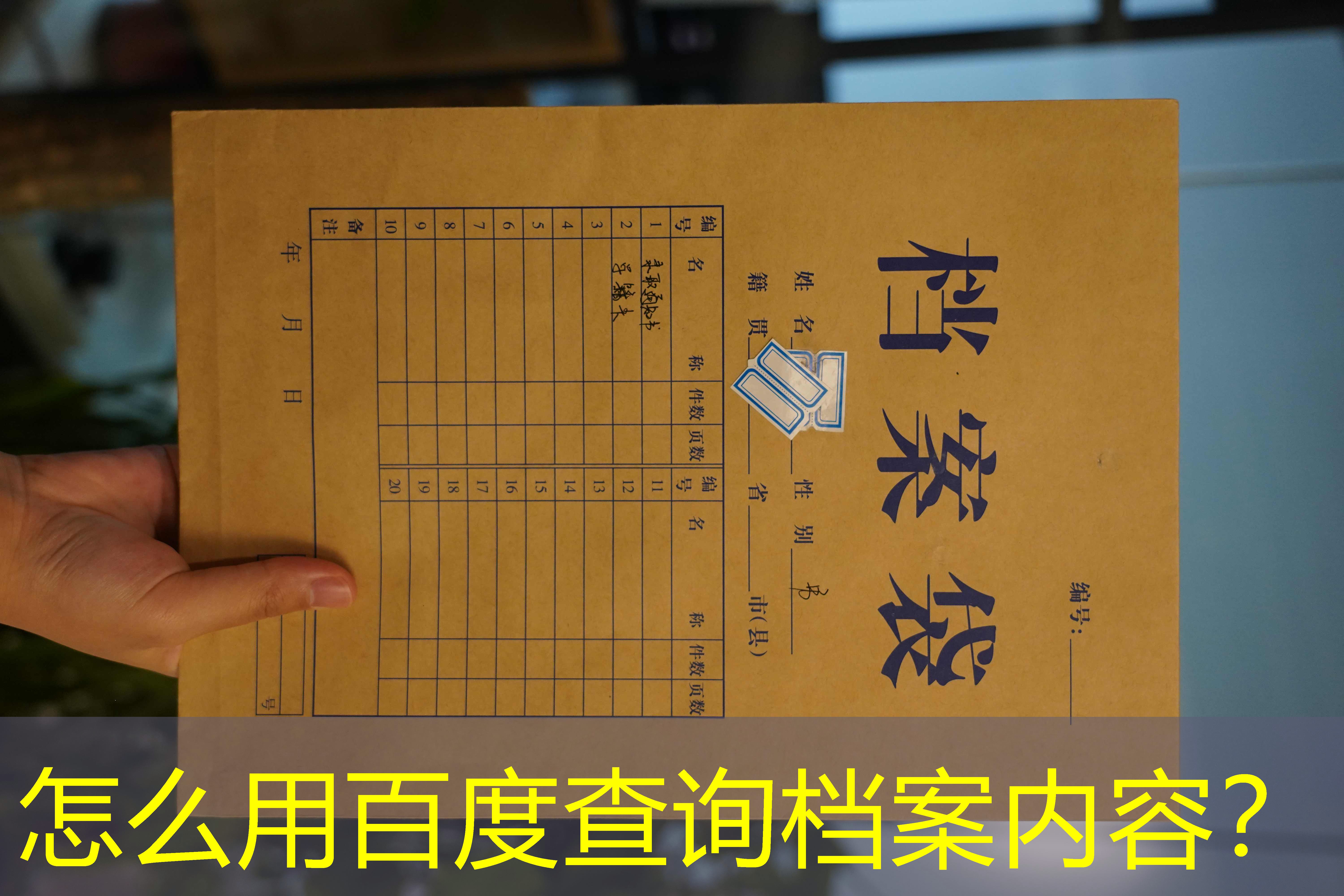 档案查询