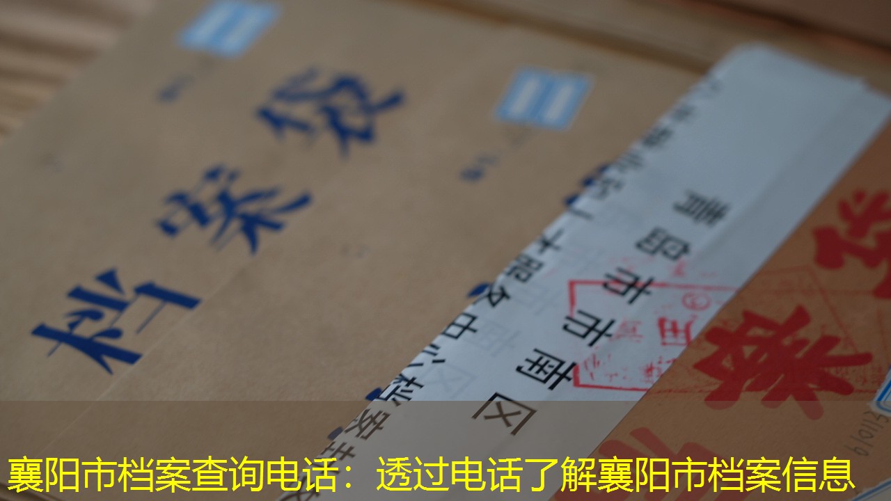 档案查询