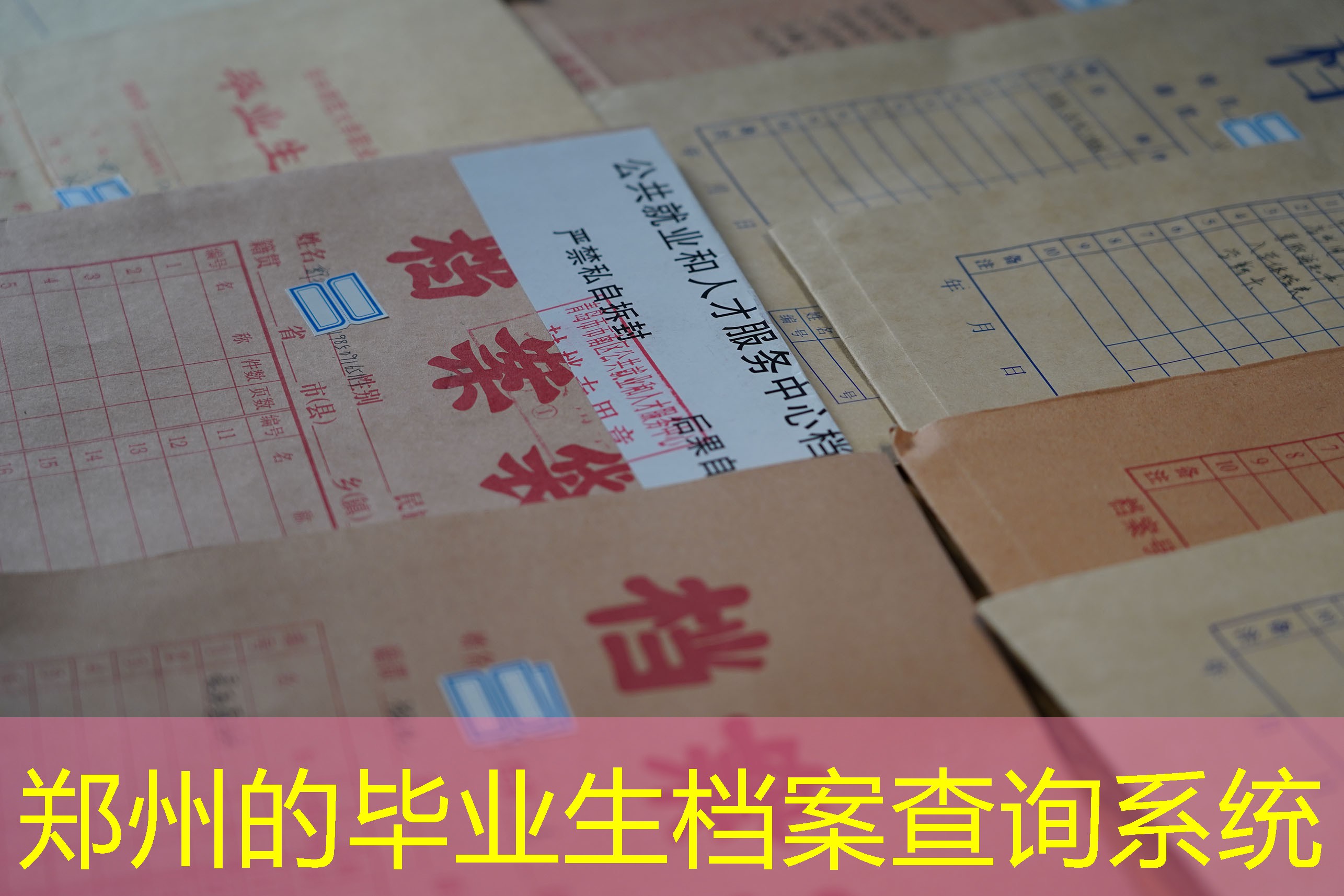 档案查询