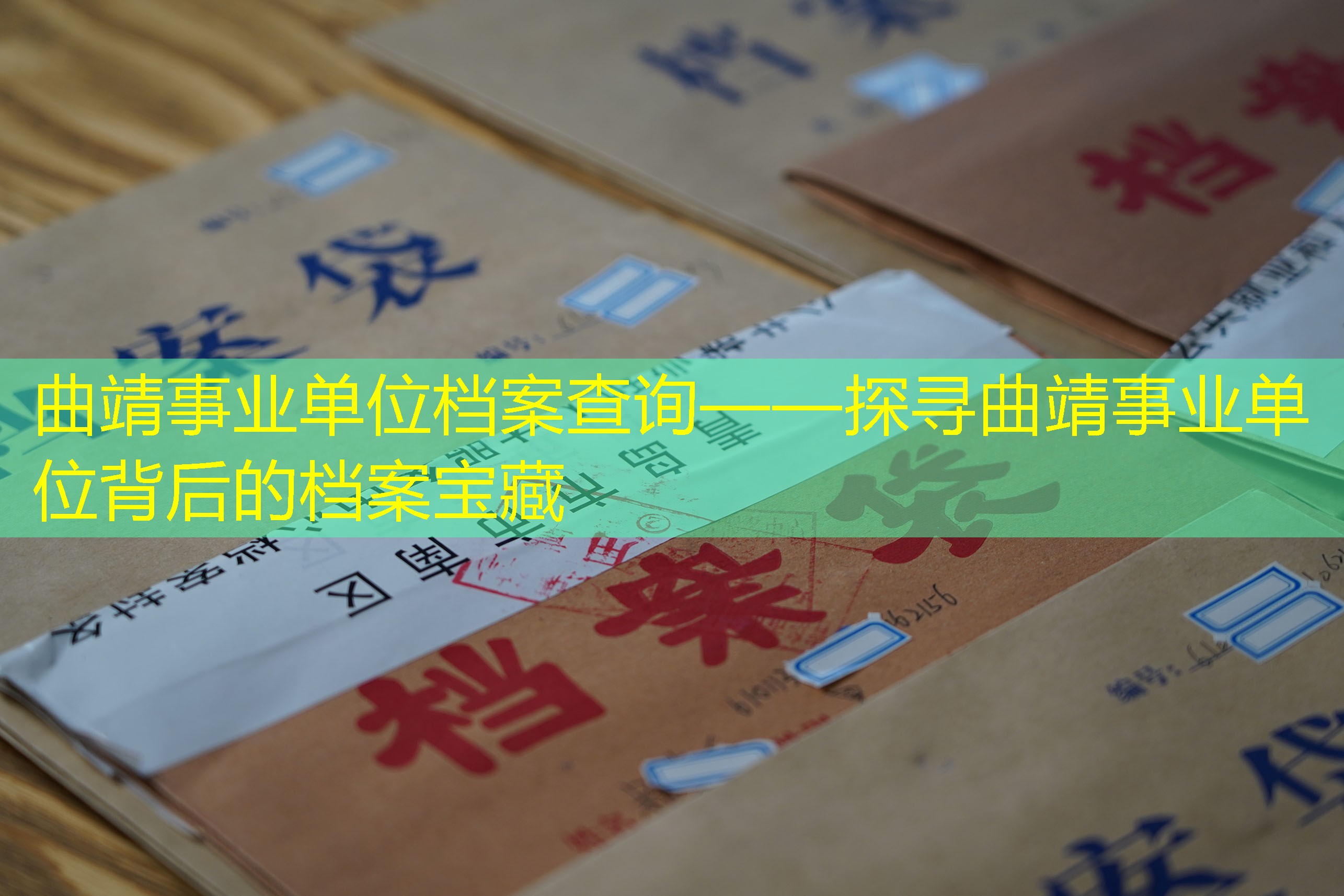 档案查询