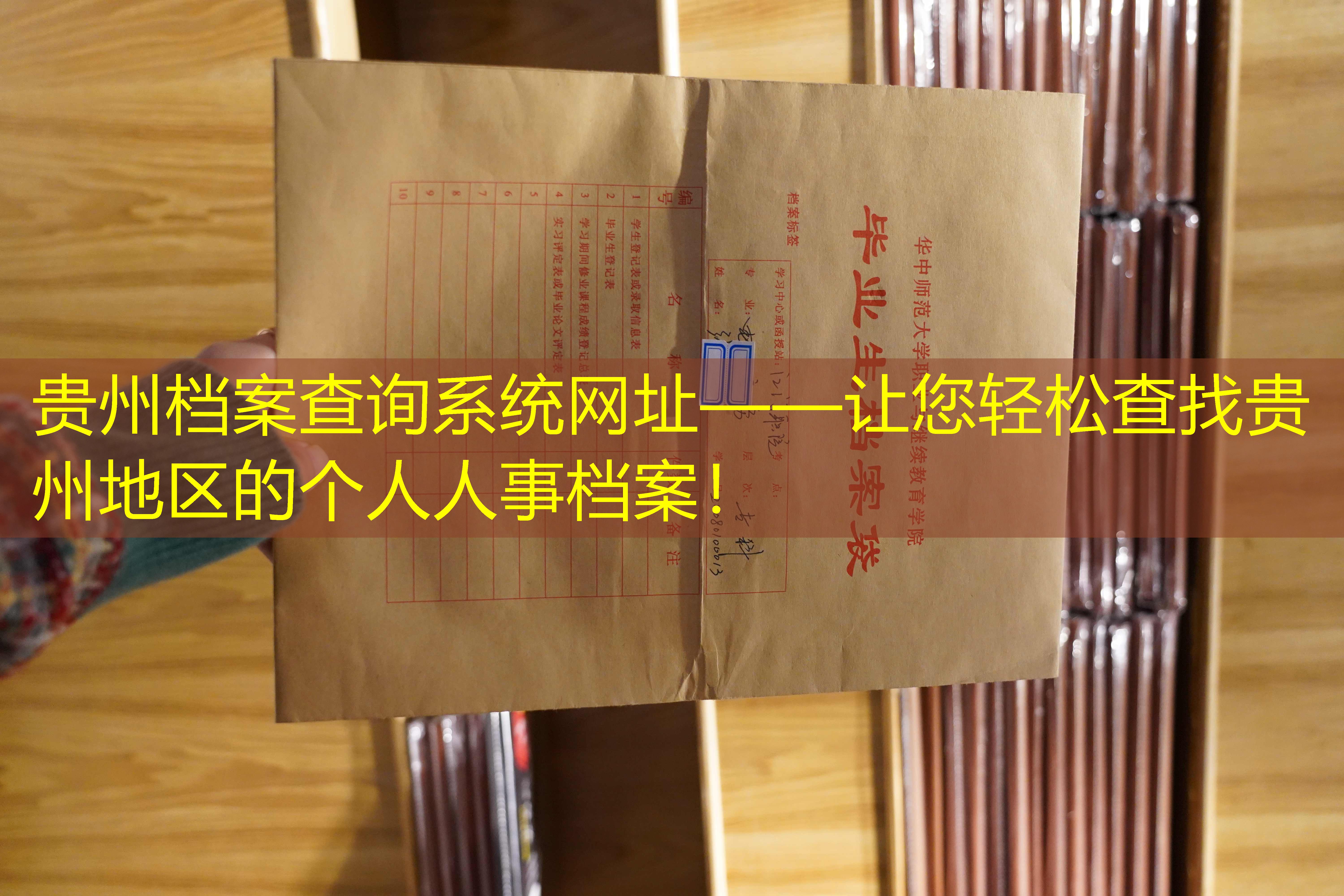 档案查询