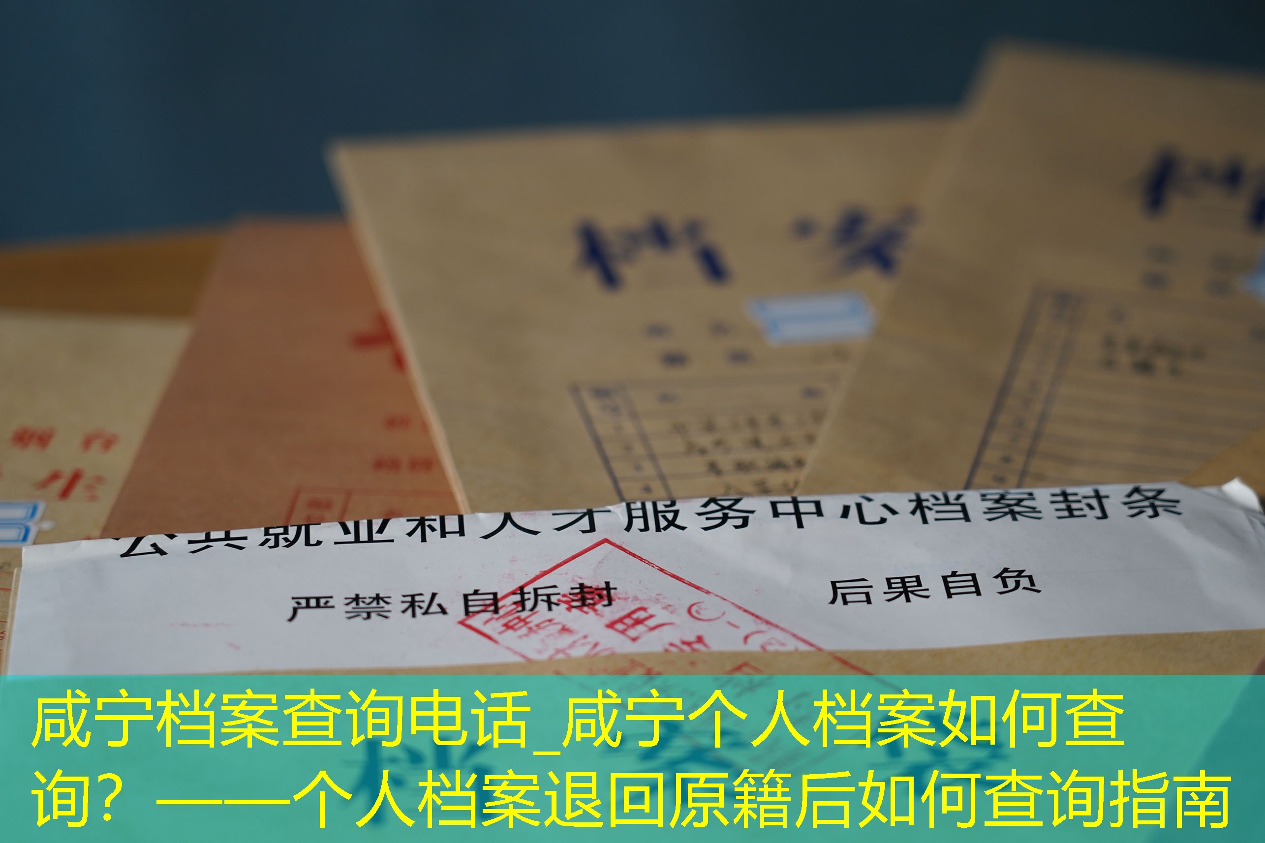 档案查询