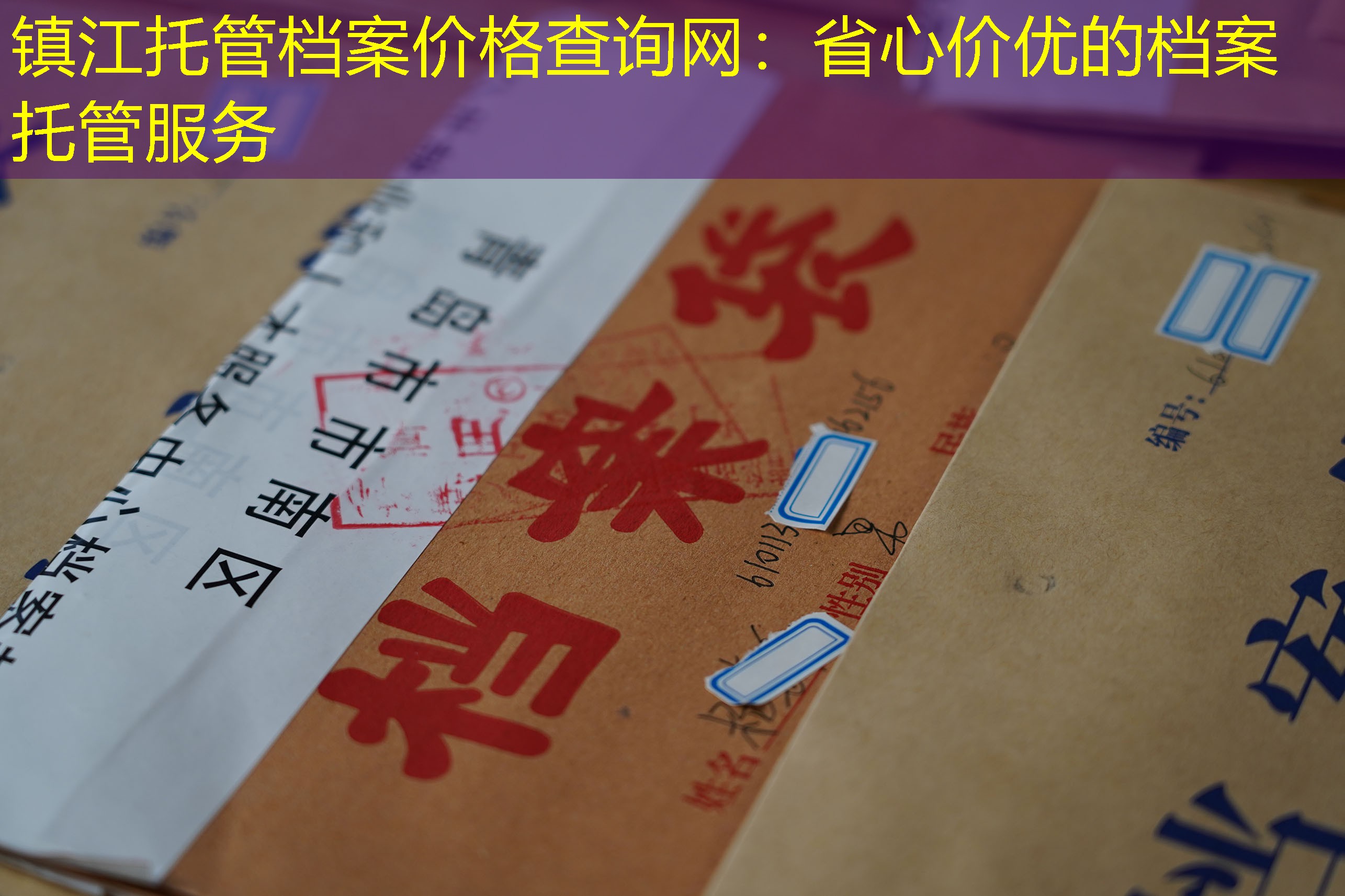 档案查询