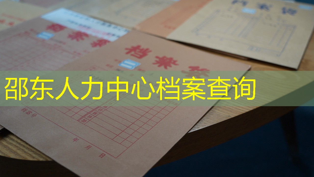 档案查询