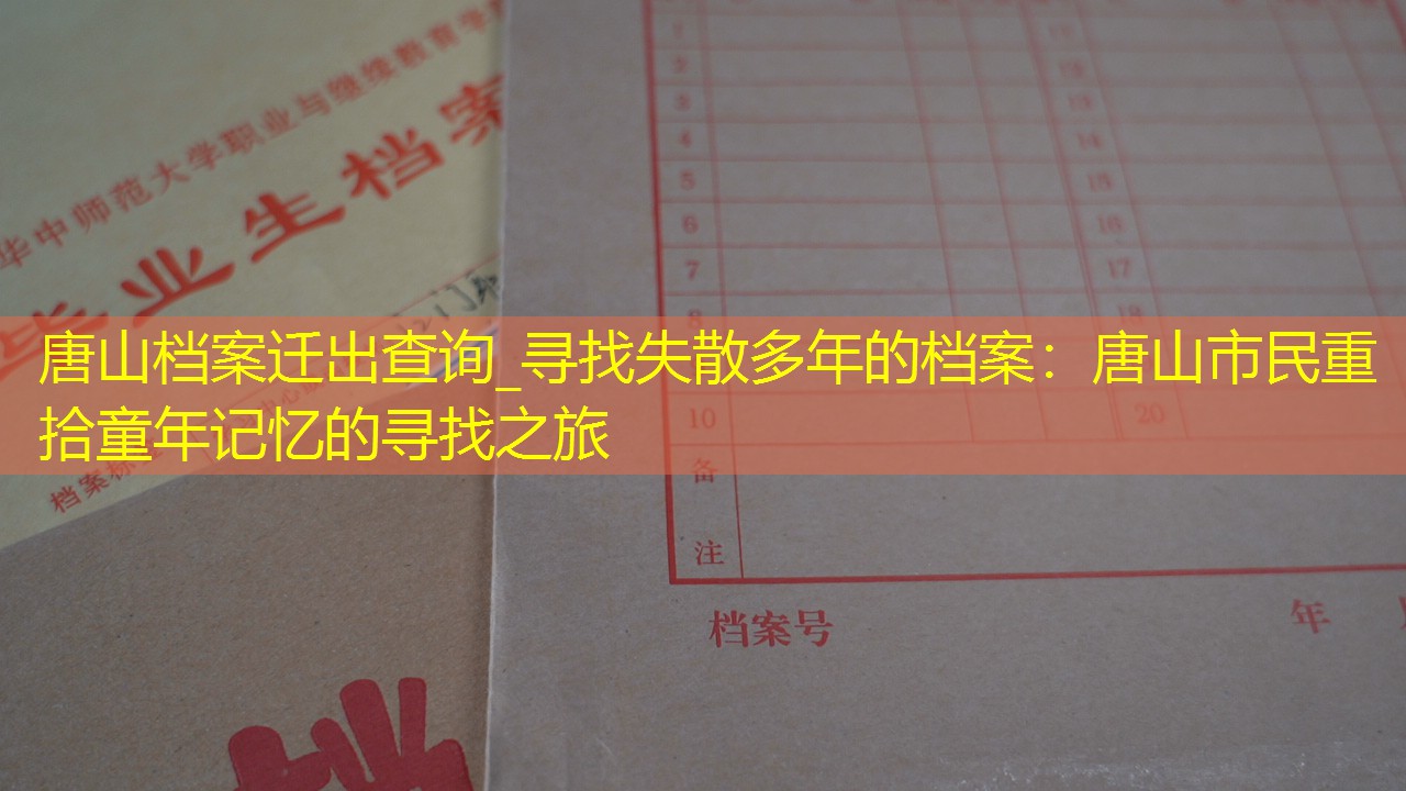 档案查询