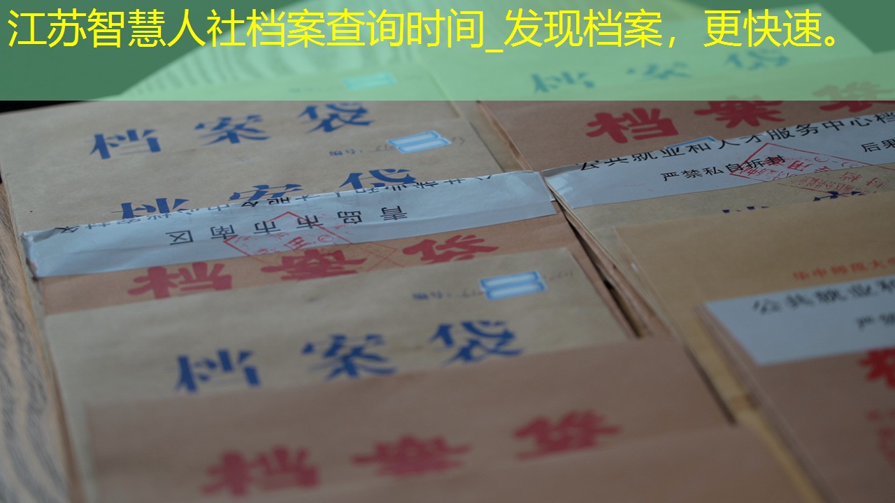 档案查询