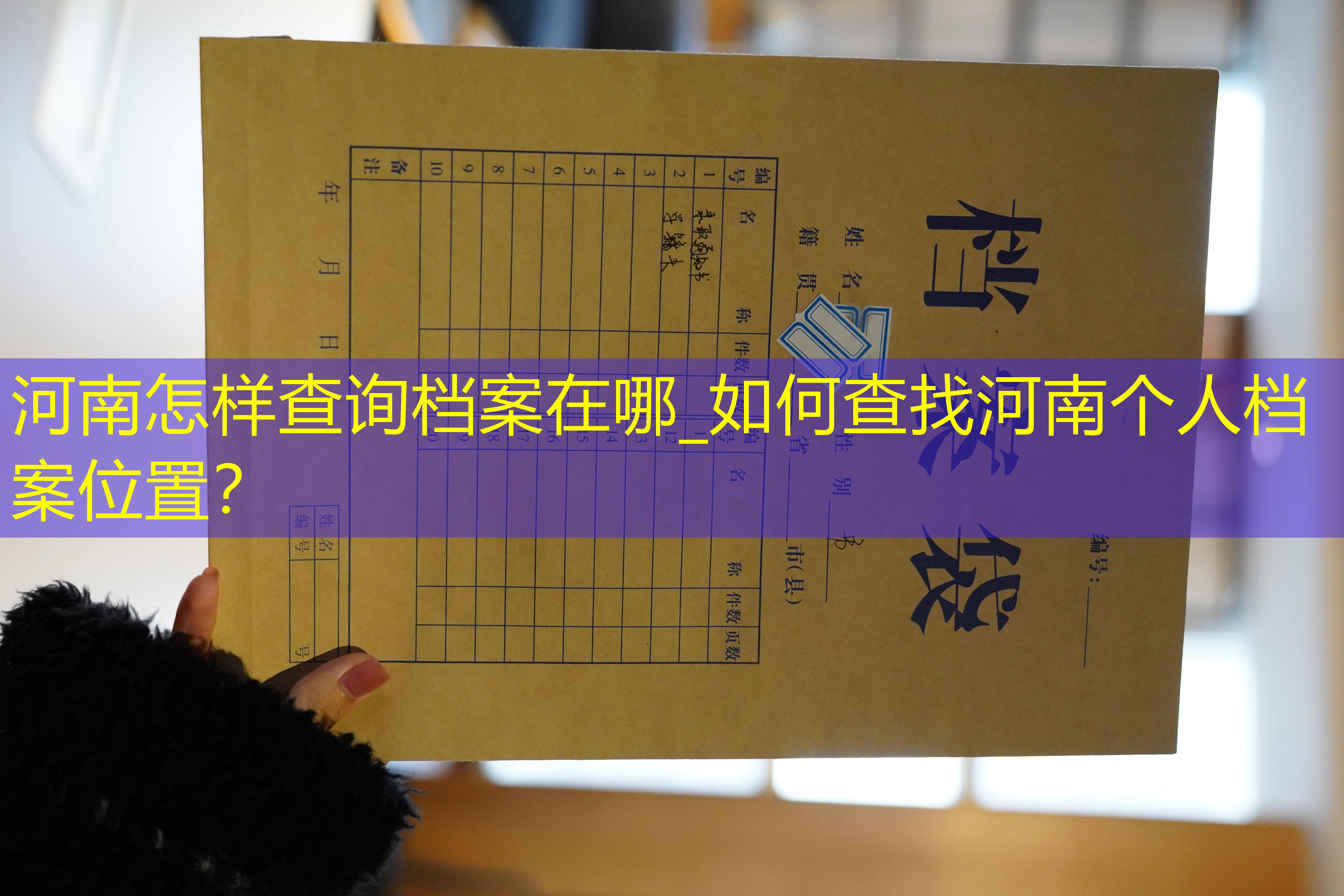 档案查询