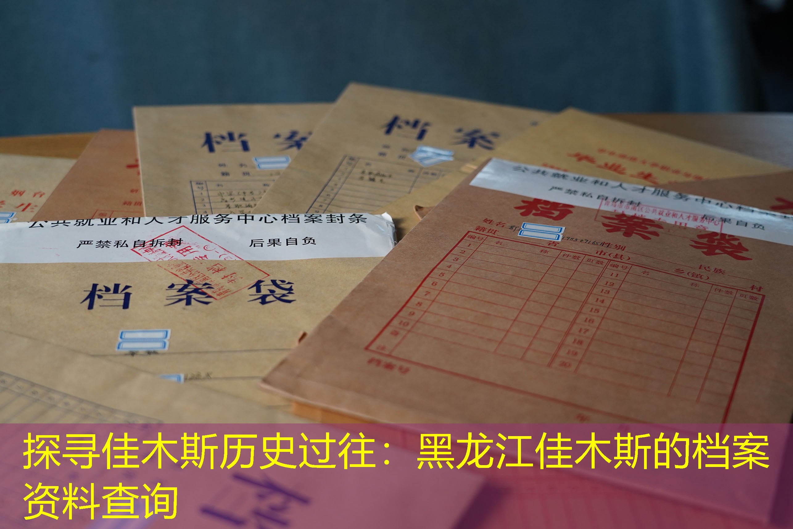 档案查询