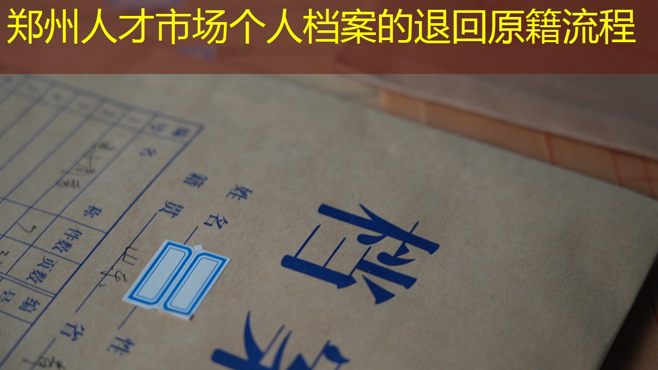 档案查询