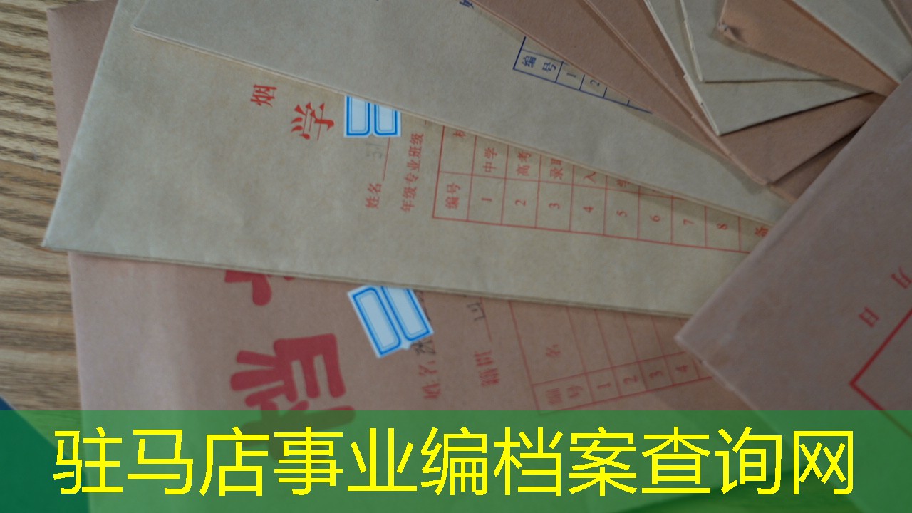 档案查询