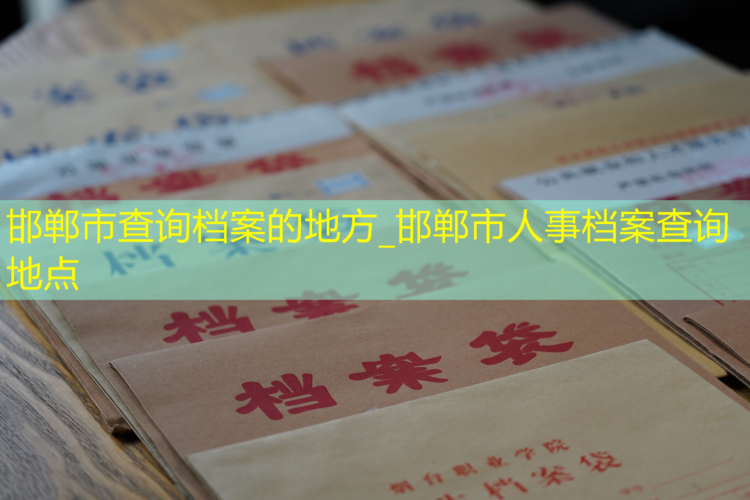 档案查询