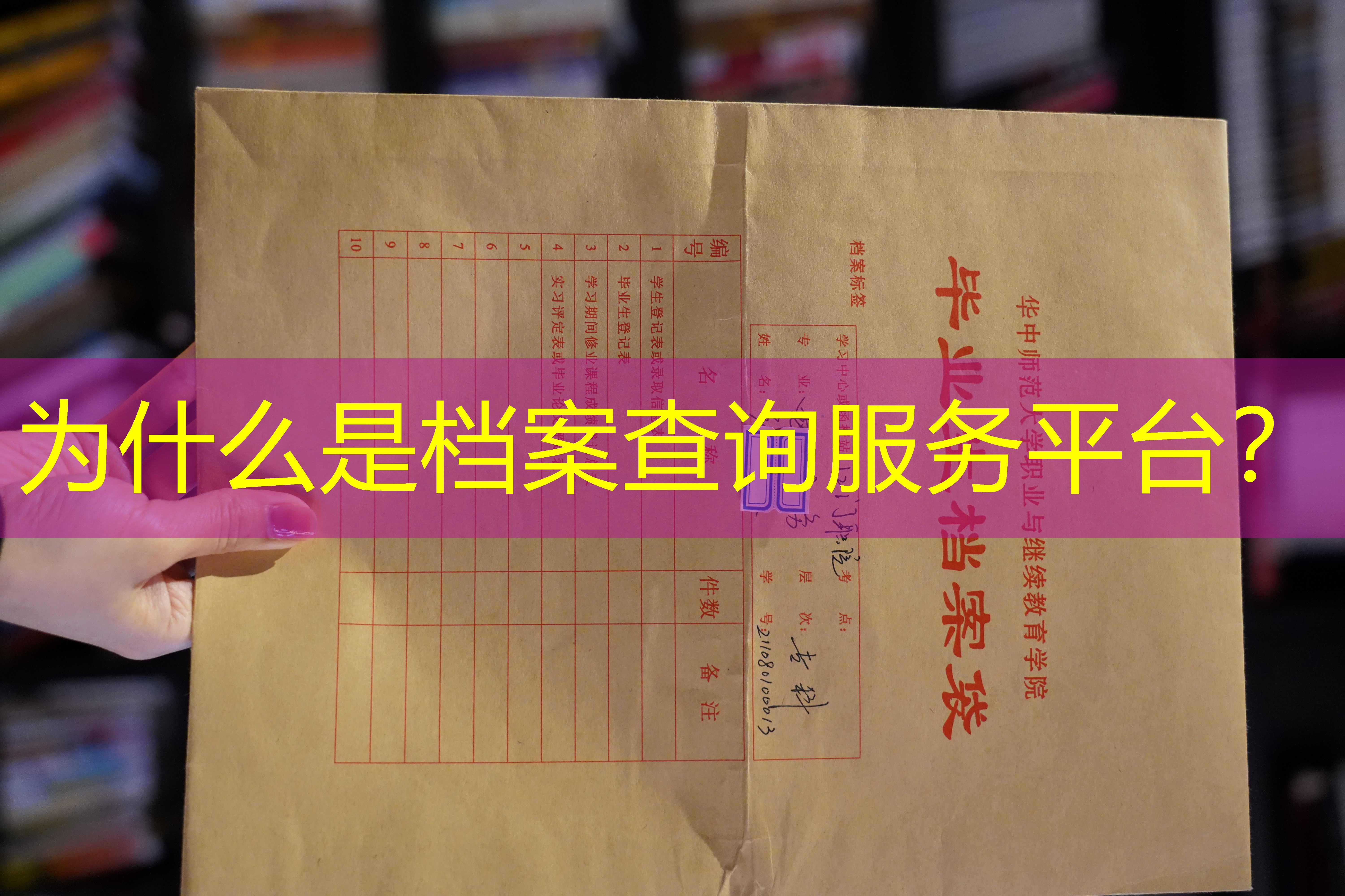 档案查询