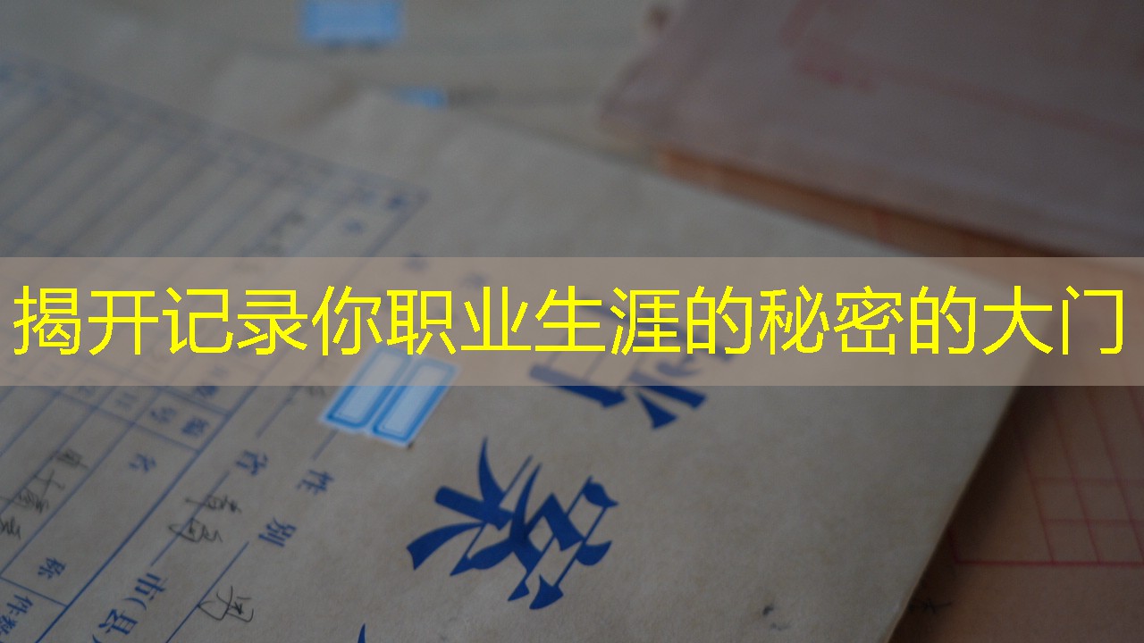 档案查询