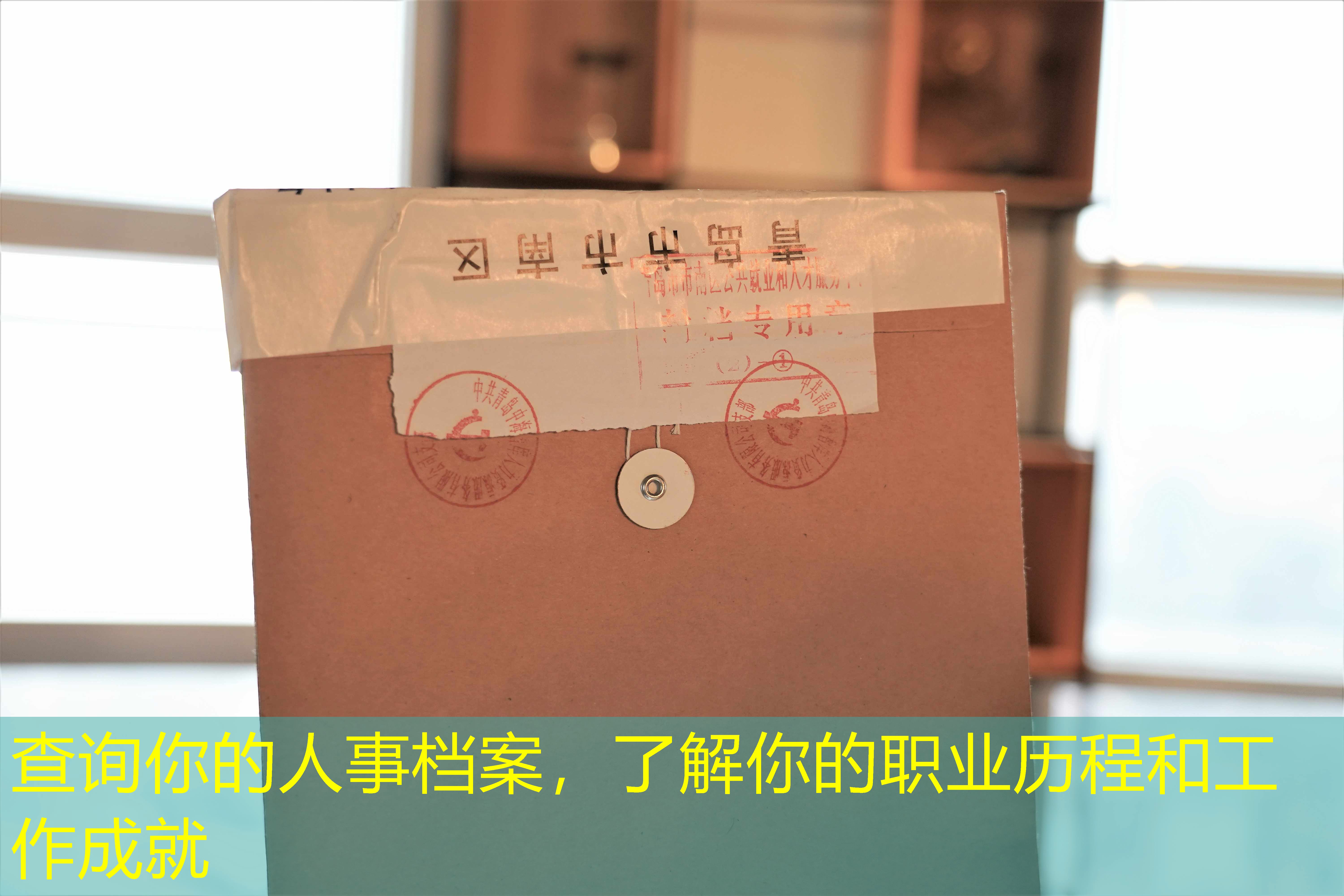 档案查询