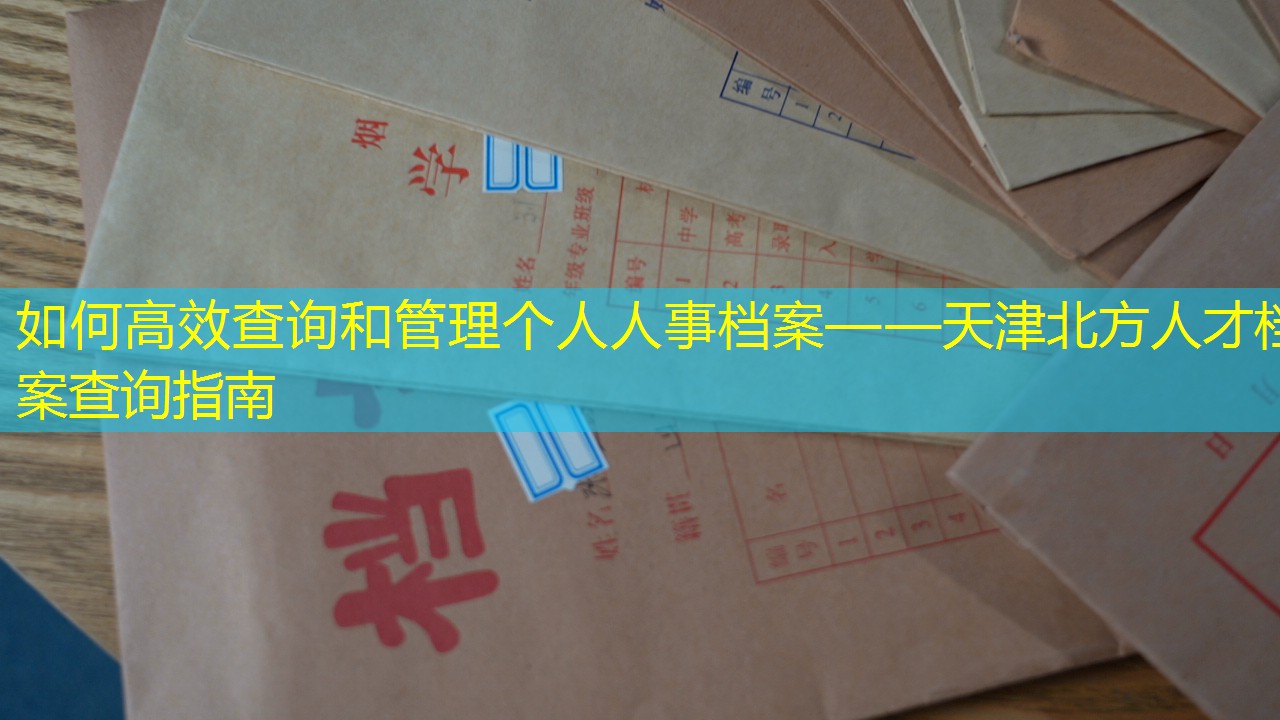 档案查询