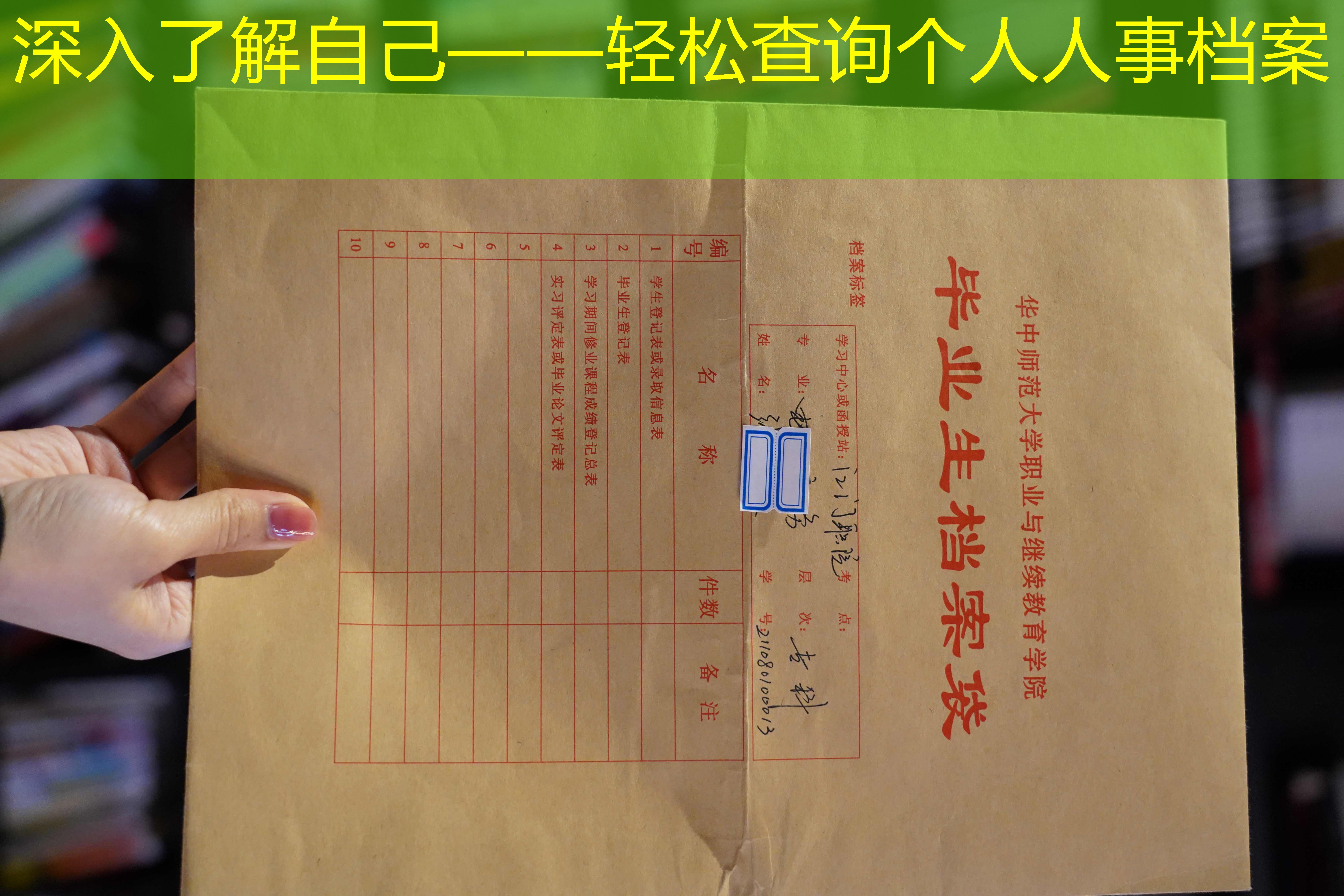 档案查询