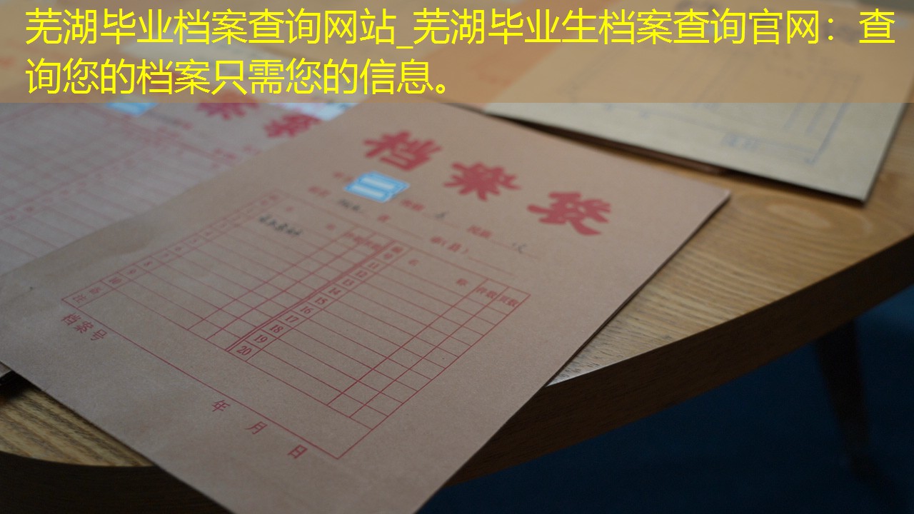 档案查询