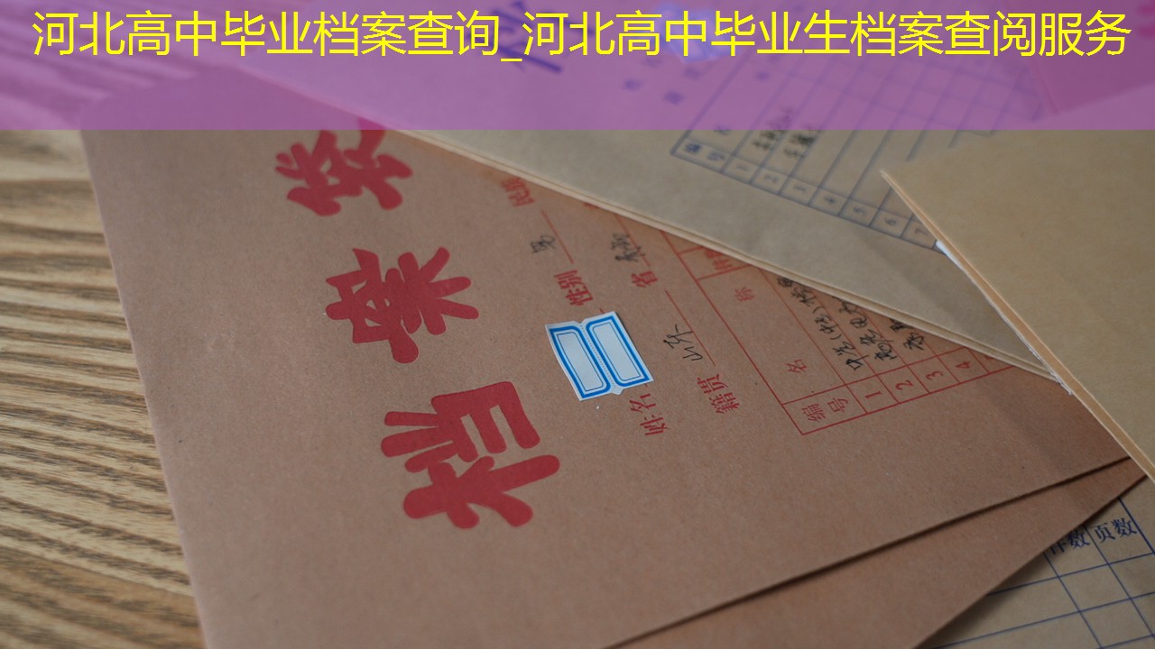 档案查询