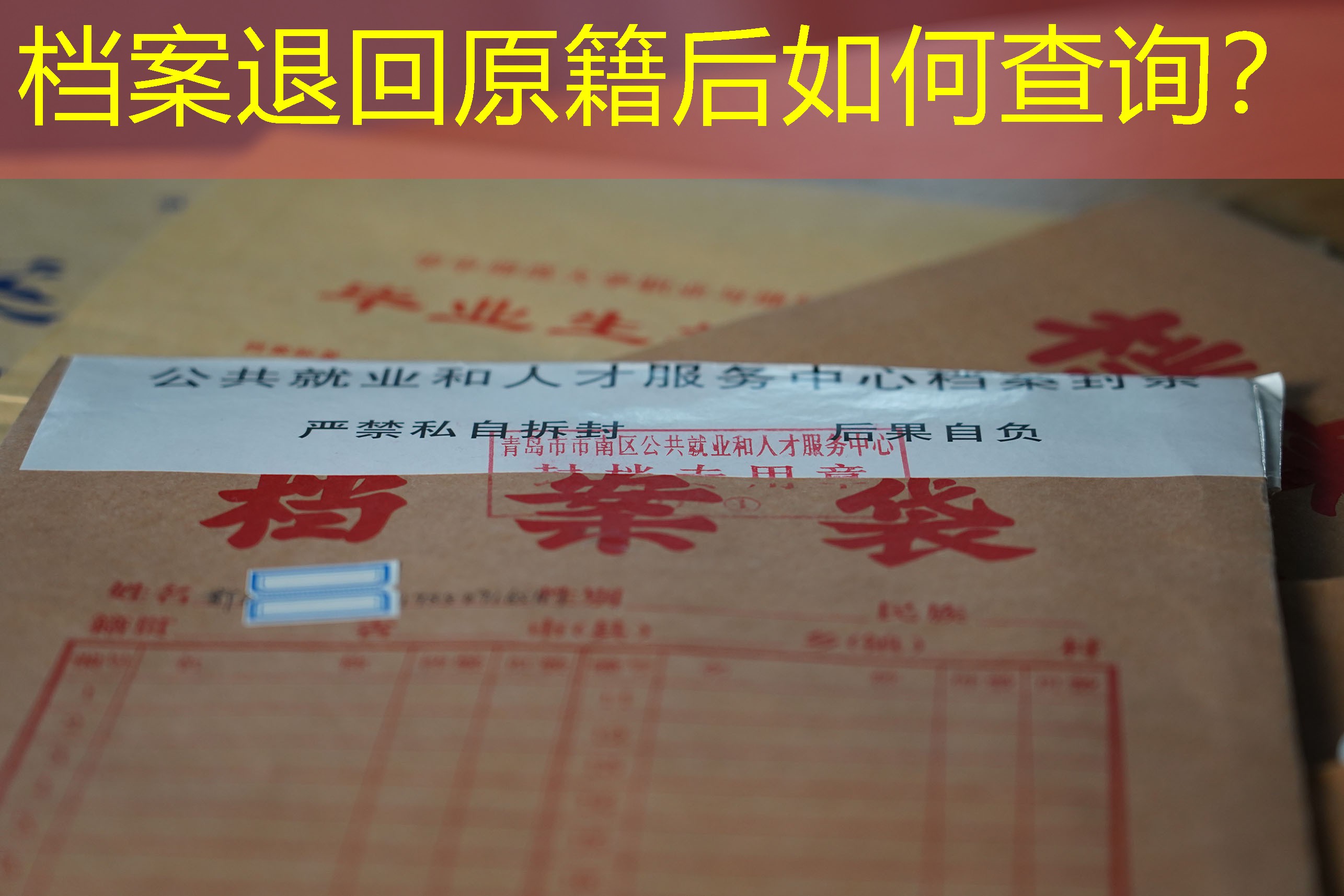 档案查询