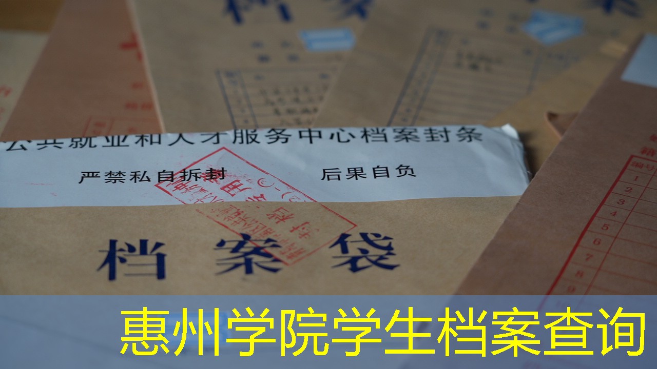 档案查询