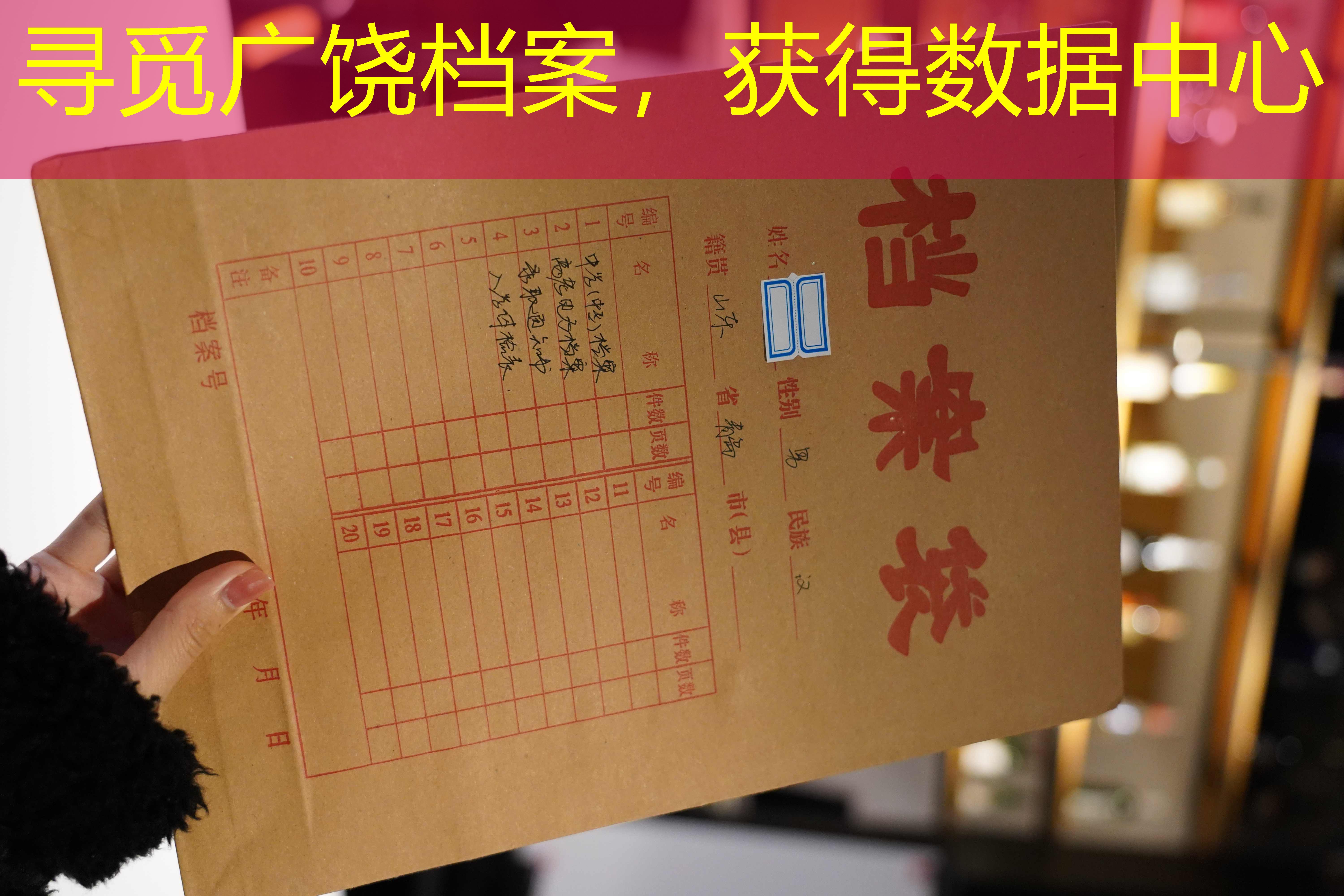 档案查询