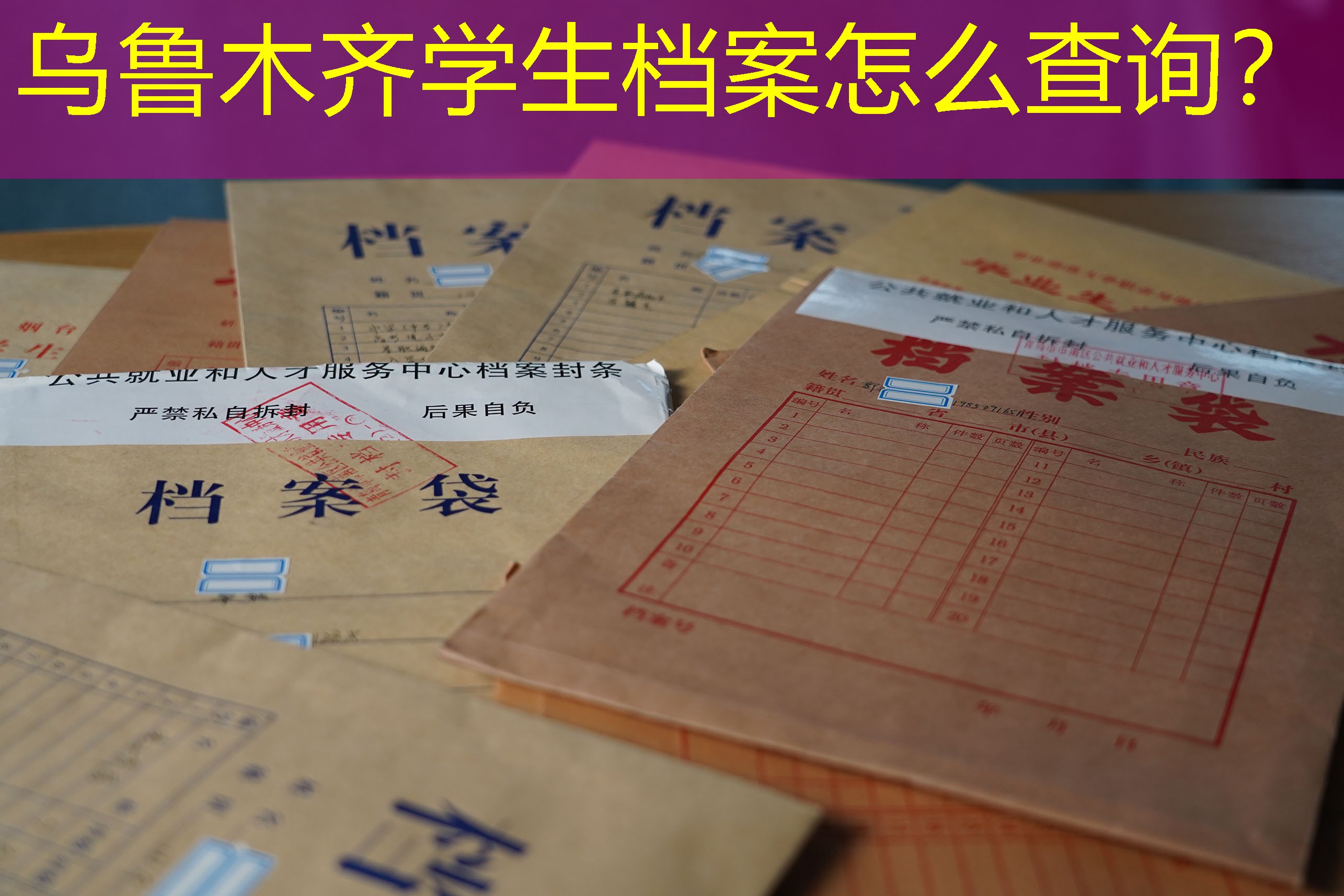 档案查询