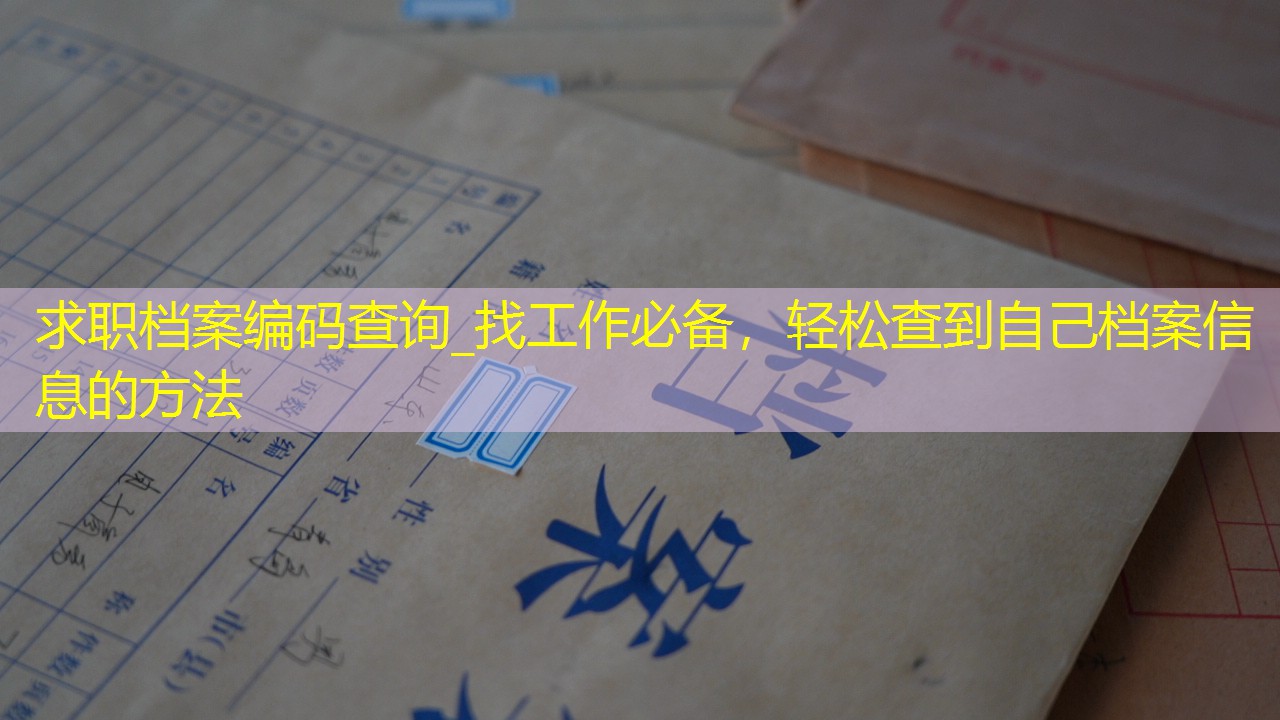 档案查询
