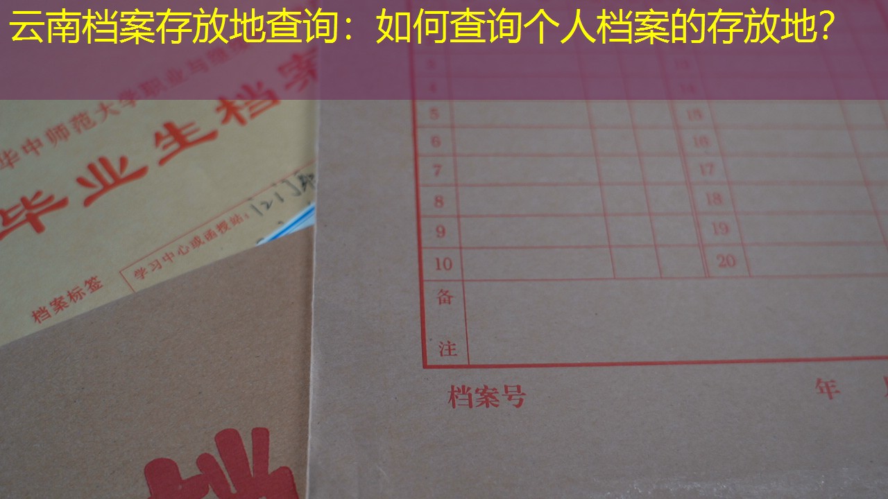 档案查询